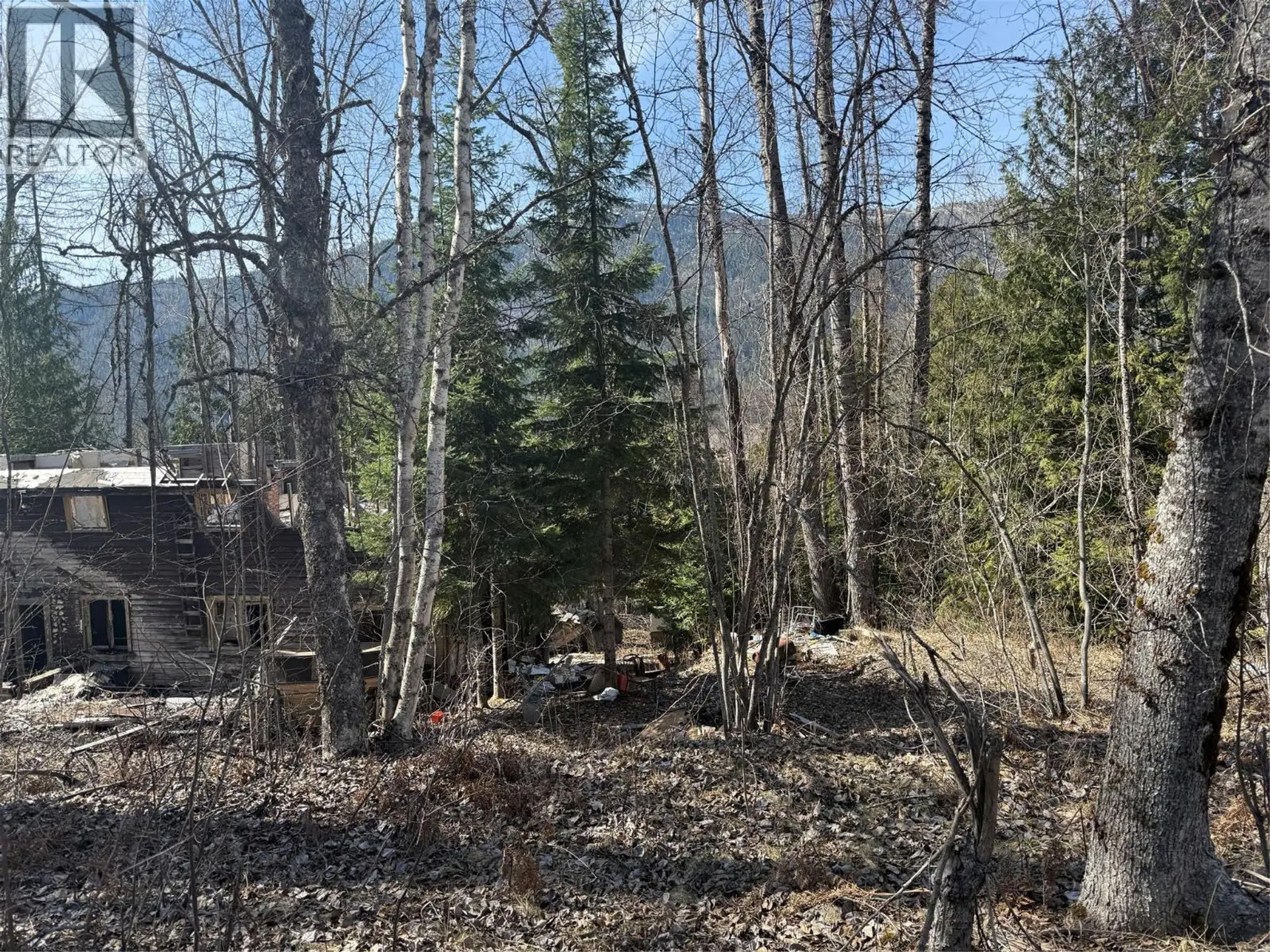 Property at VECTOR ROAD LOT# 7, Salmo, BC