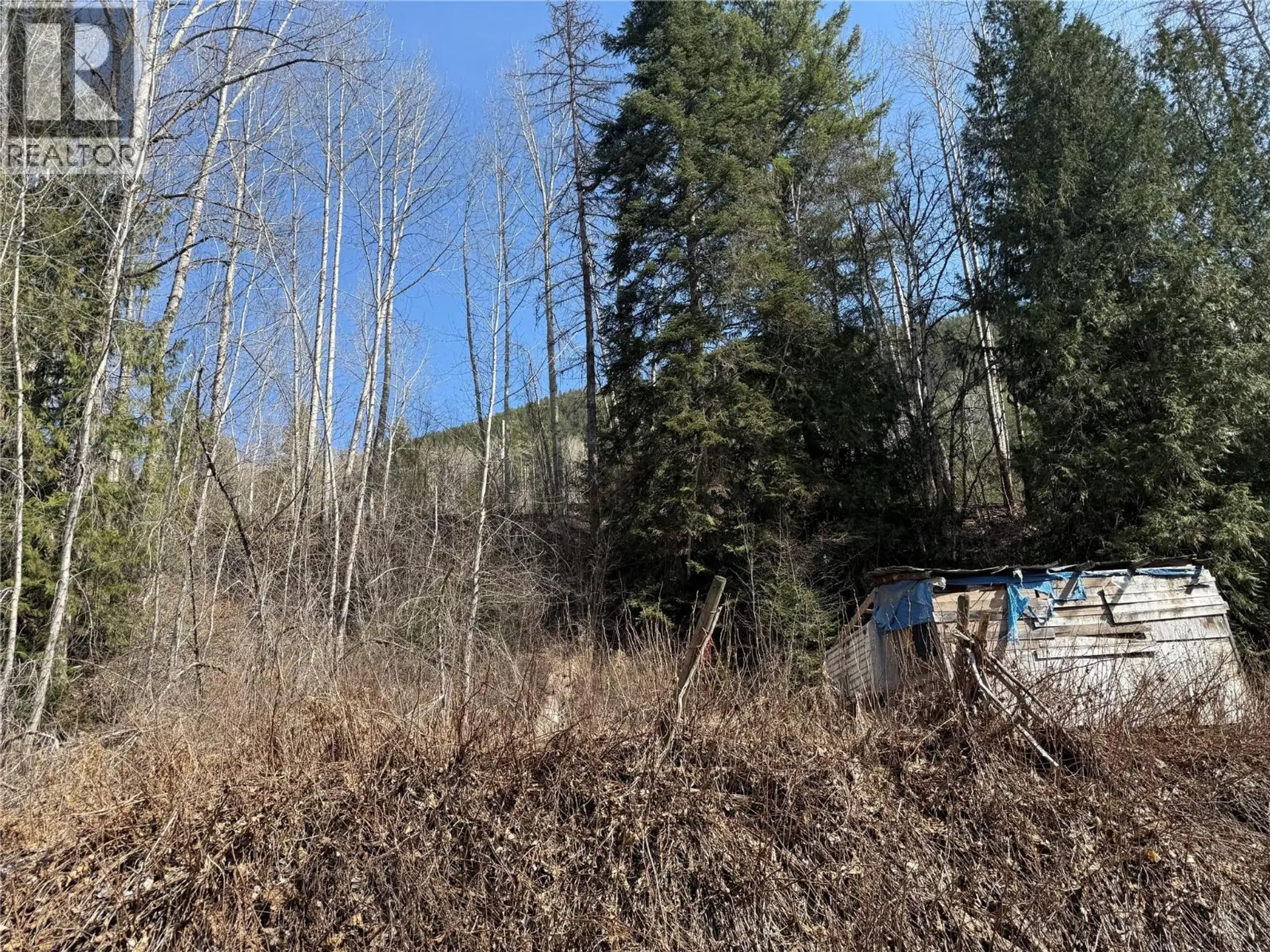 Property at VECTOR ROAD LOT# 11, Salmo, BC