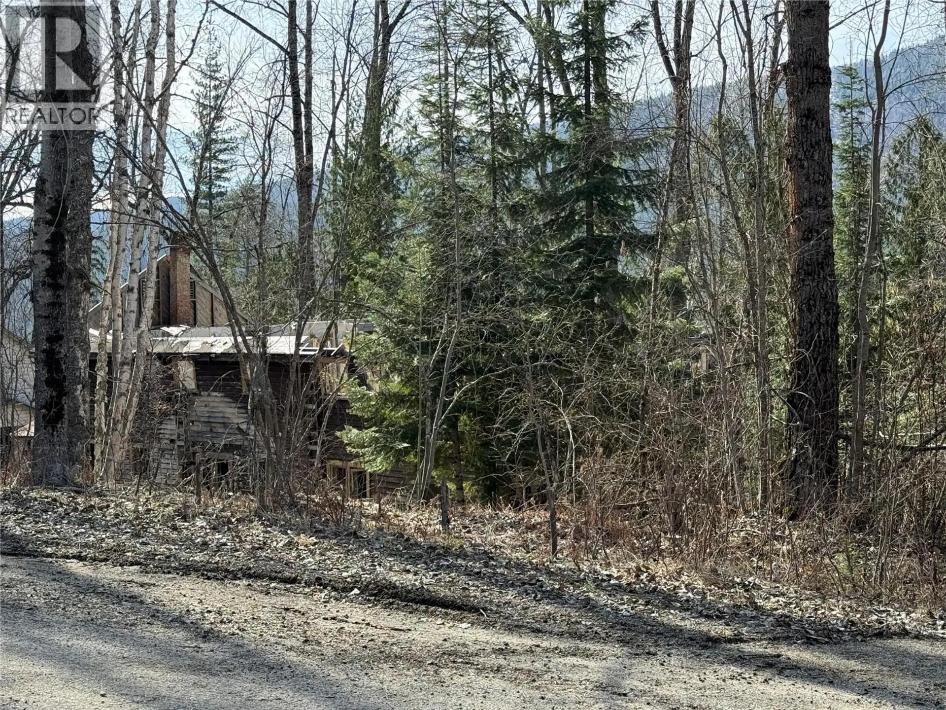 Property at VECTOR ROAD LOT# 11, Salmo, BC
