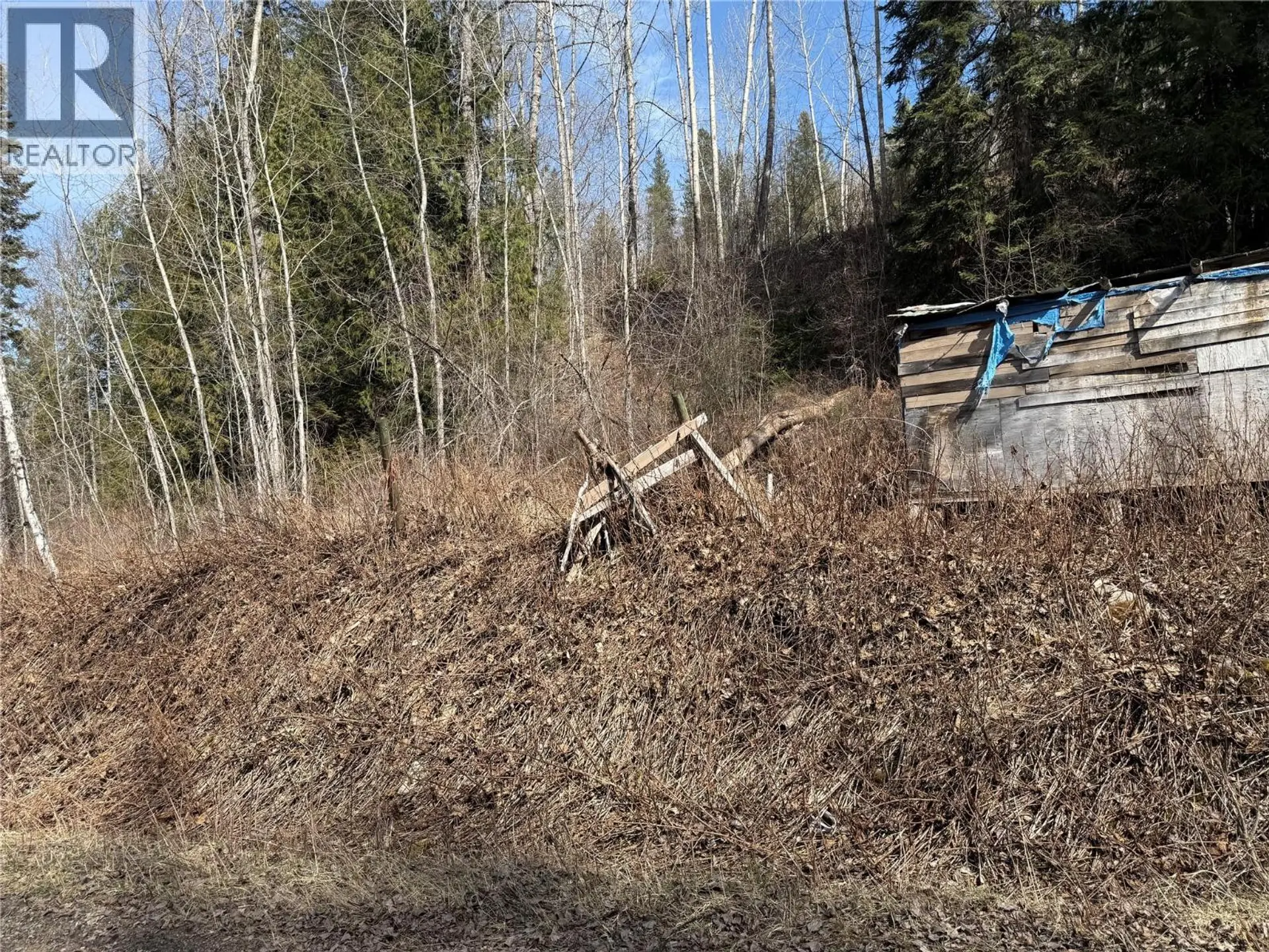 Property at VECTOR ROAD LOT# 11, Salmo, BC