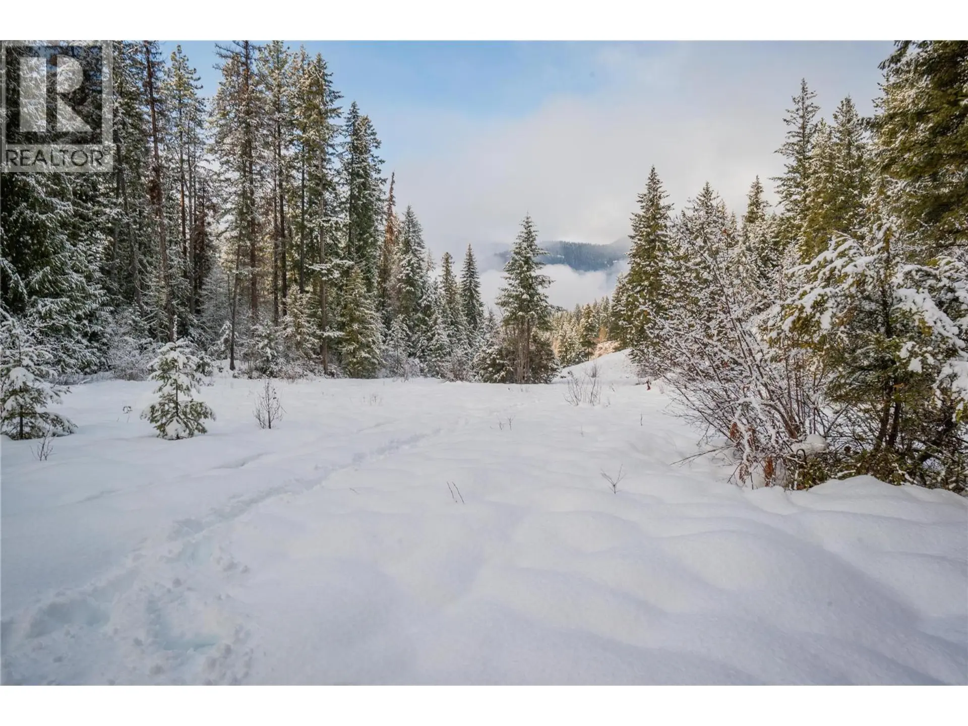 Property at FOREST ROAD LOT# 7, Winlaw, BC
