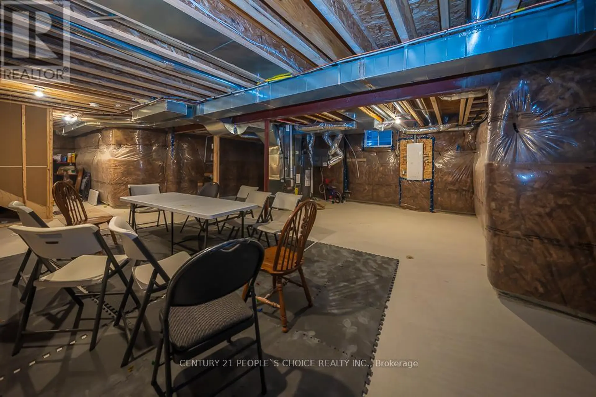 83 ROBIN TRAIL - Image 14