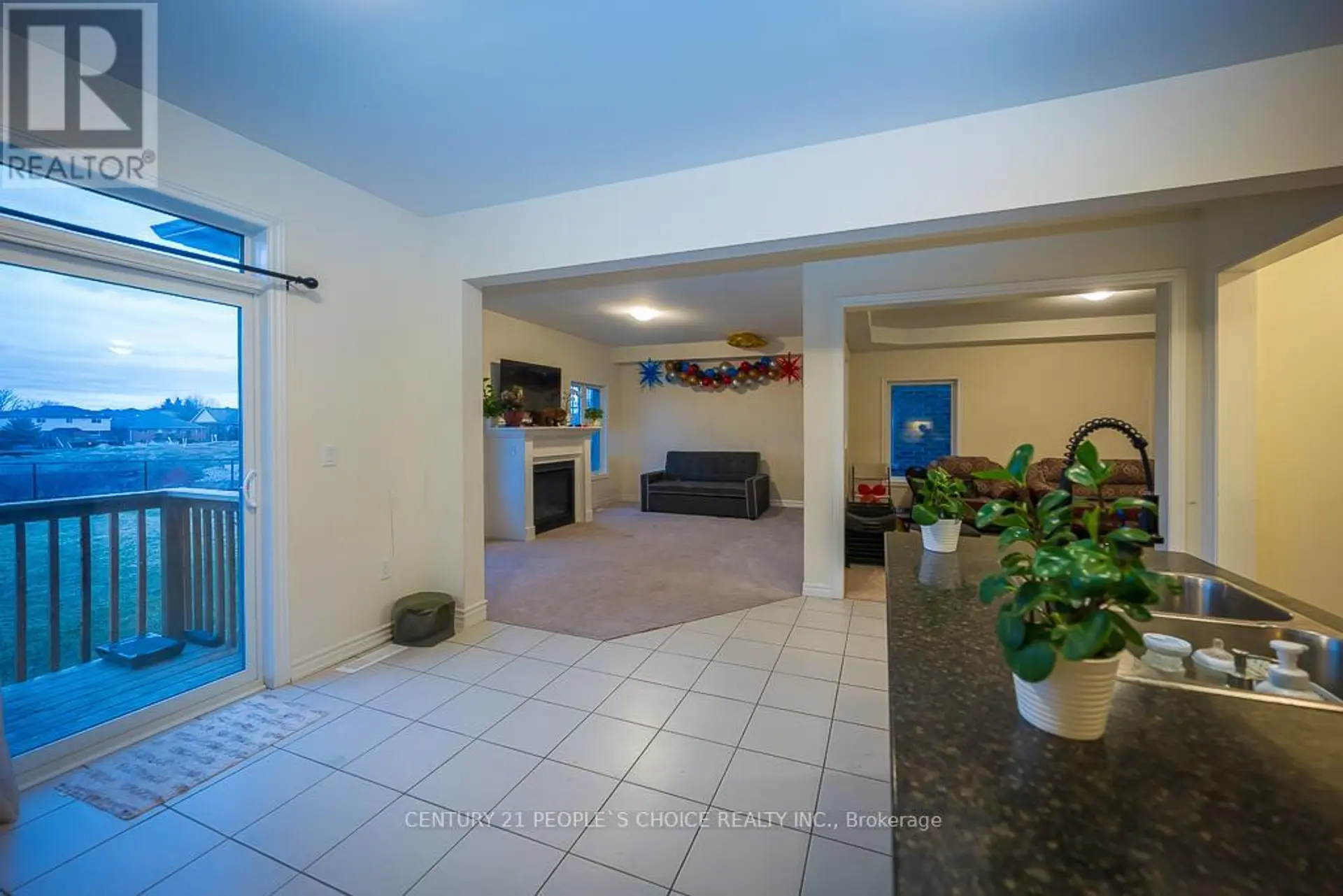 83 ROBIN TRAIL - Image 4