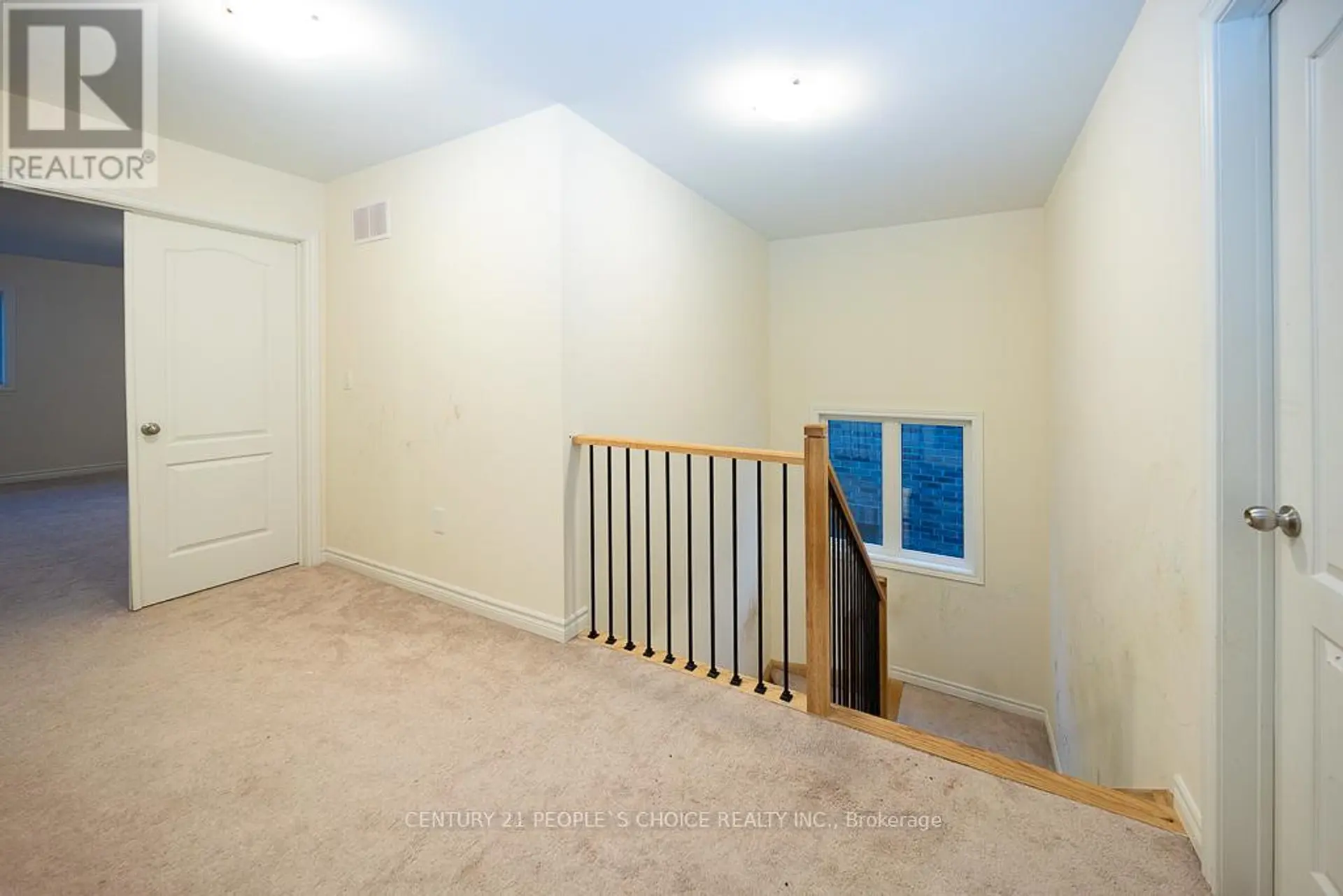 83 ROBIN TRAIL - Image 8