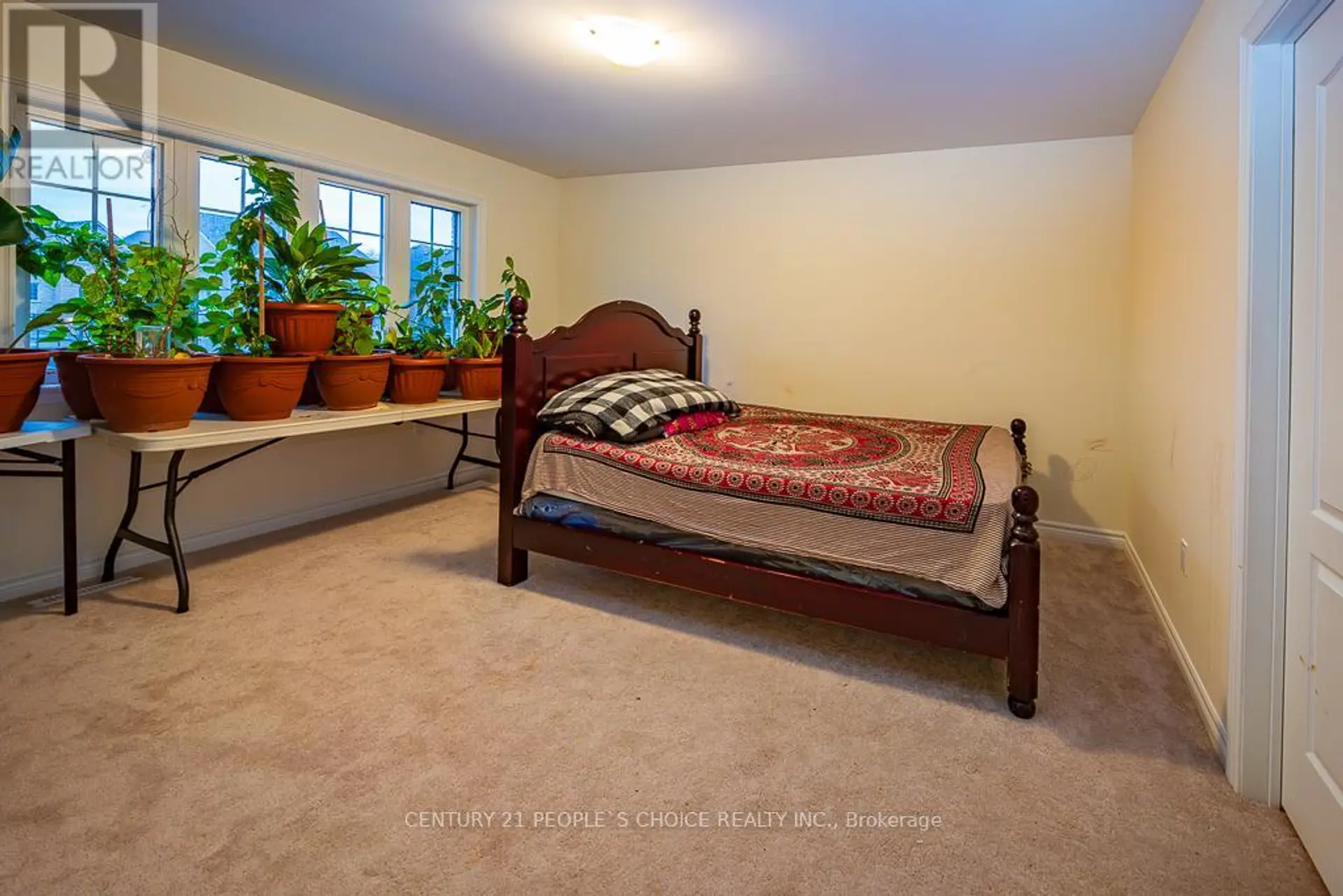 83 ROBIN TRAIL - Image 9