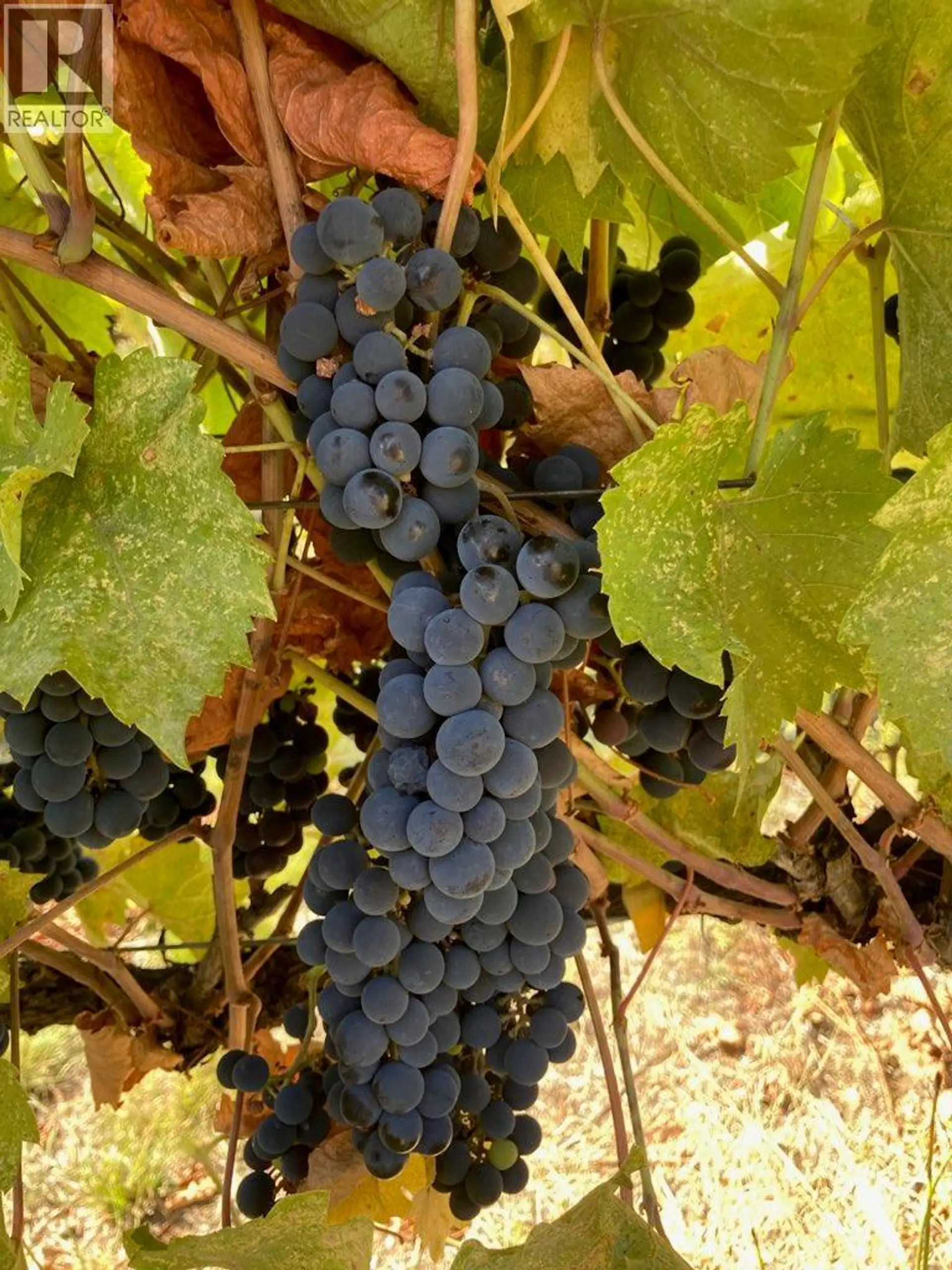 Property at PANAROMA DRIVE LOT# LOT B, Grand Forks, BC