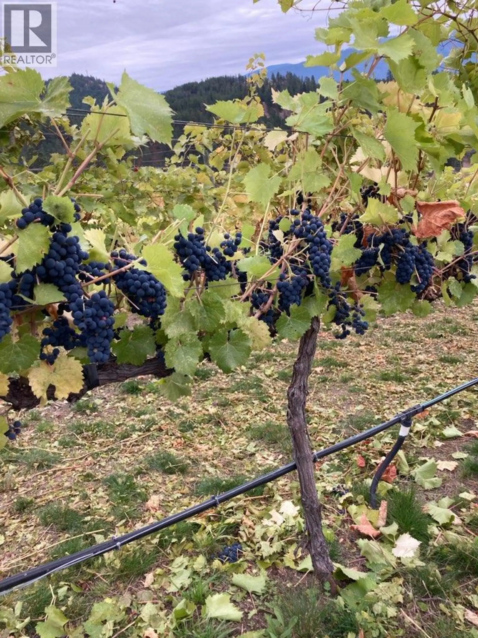 Property at PANAROMA DRIVE LOT# LOT B, Grand Forks, BC