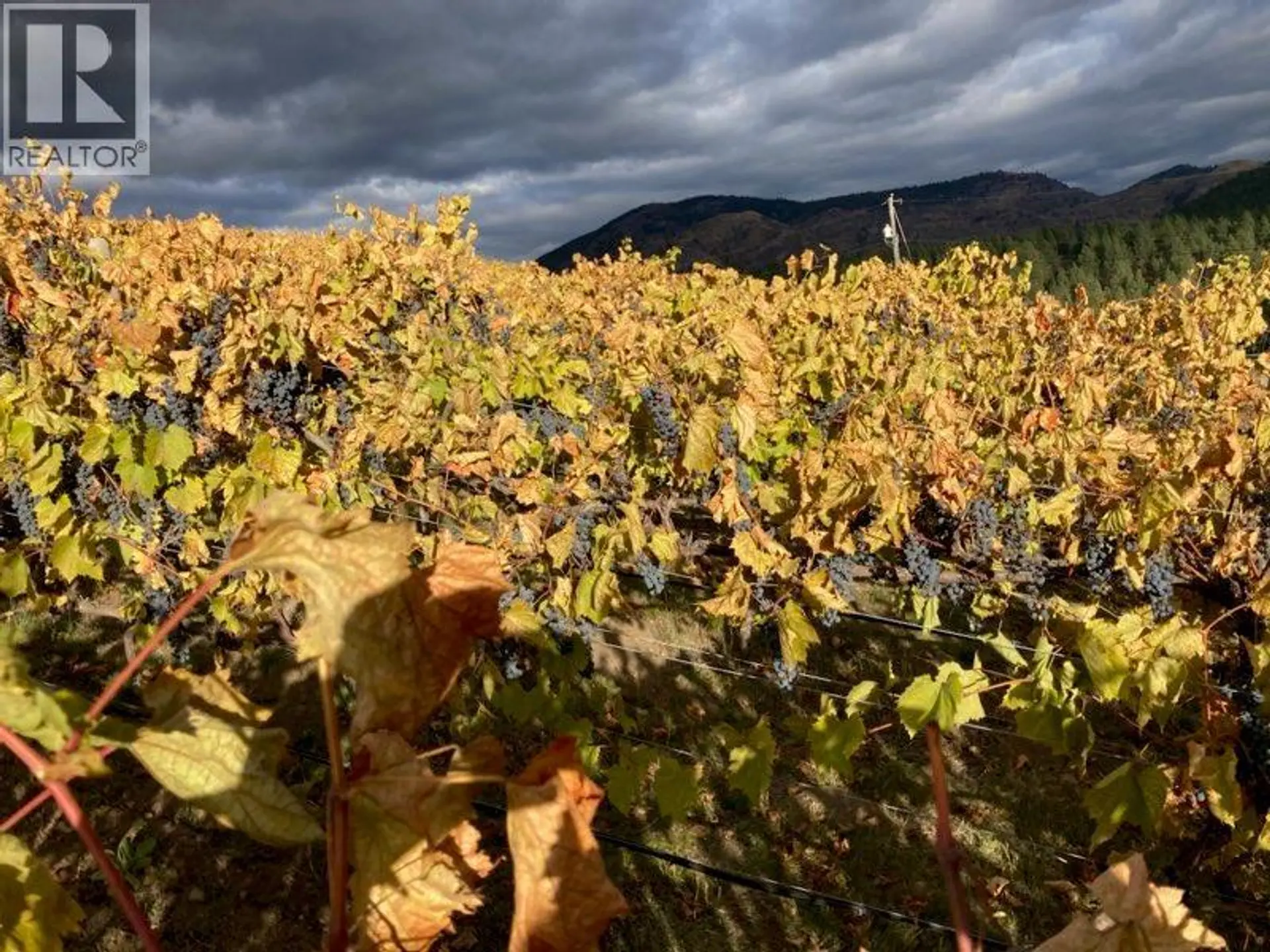 Property at PANAROMA DRIVE LOT# LOT B, Grand Forks, BC