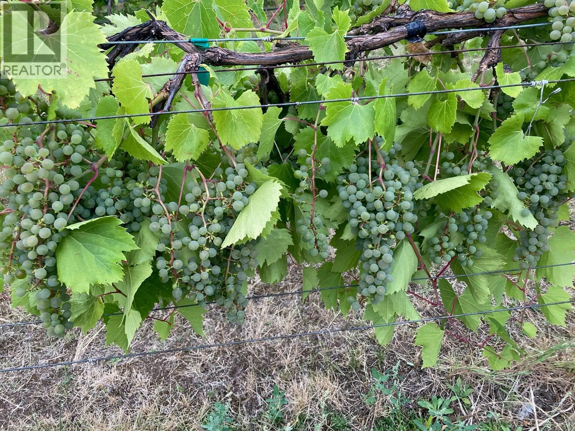 Property at PANAROMA DRIVE LOT# LOT B, Grand Forks, BC