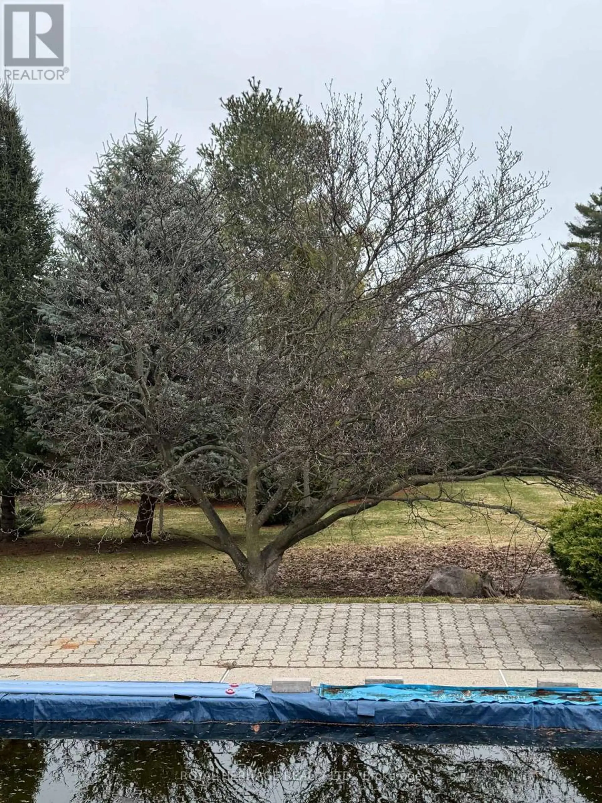 527 ROUGEMOUNT DRIVE - Image 9
