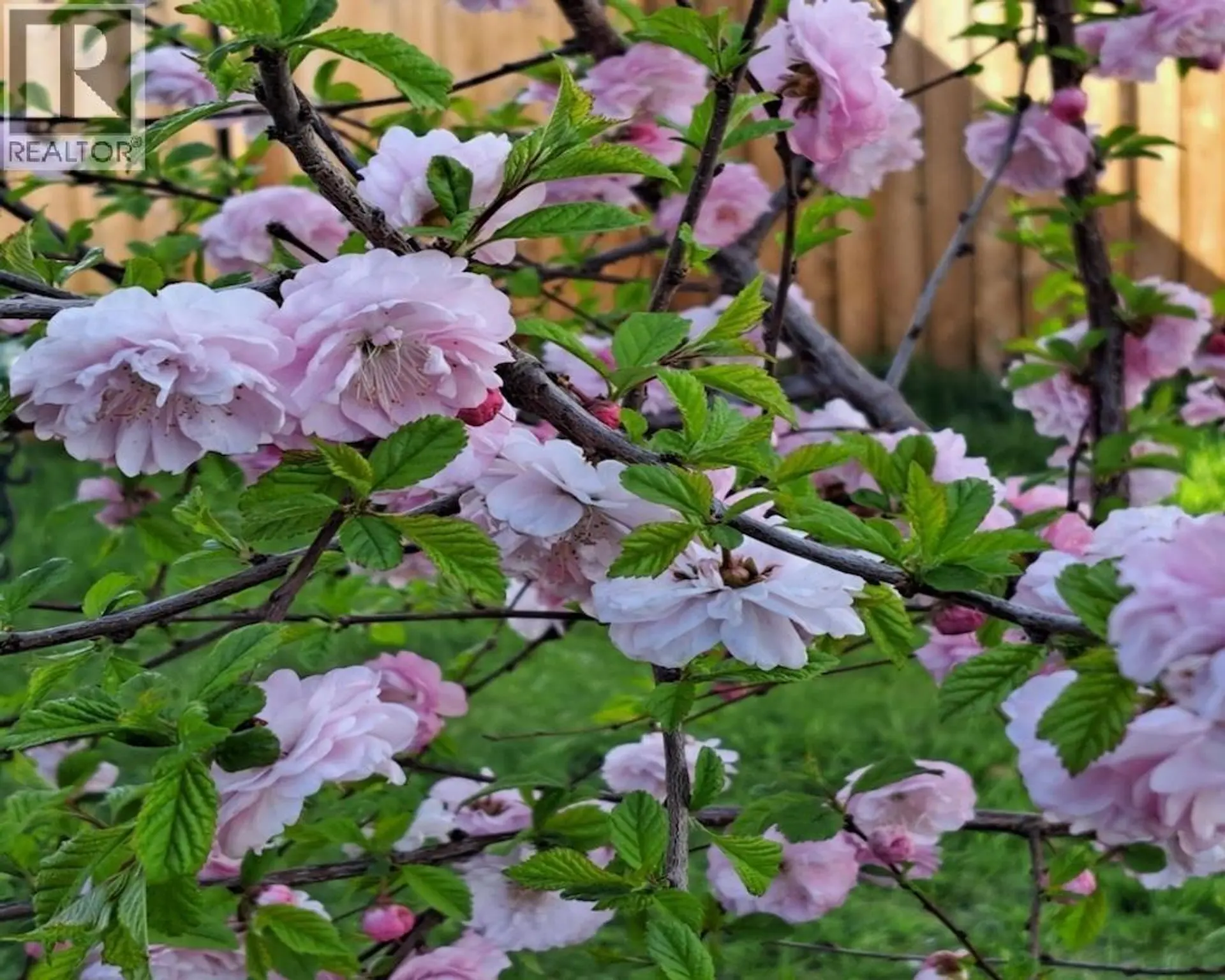 Property at 10309 88A STREET, Fort St. John, BC