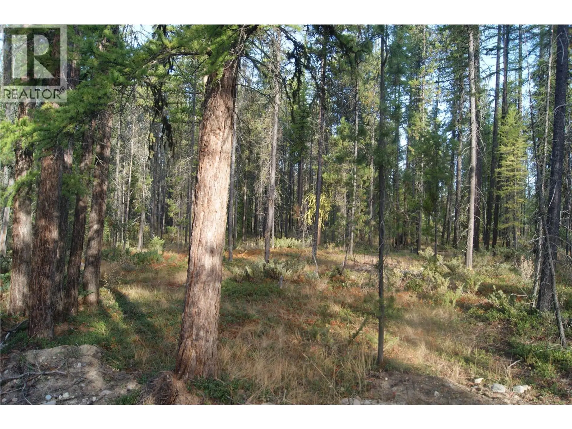 Property at LOT A BUSSEY ROAD, Kimberley, BC