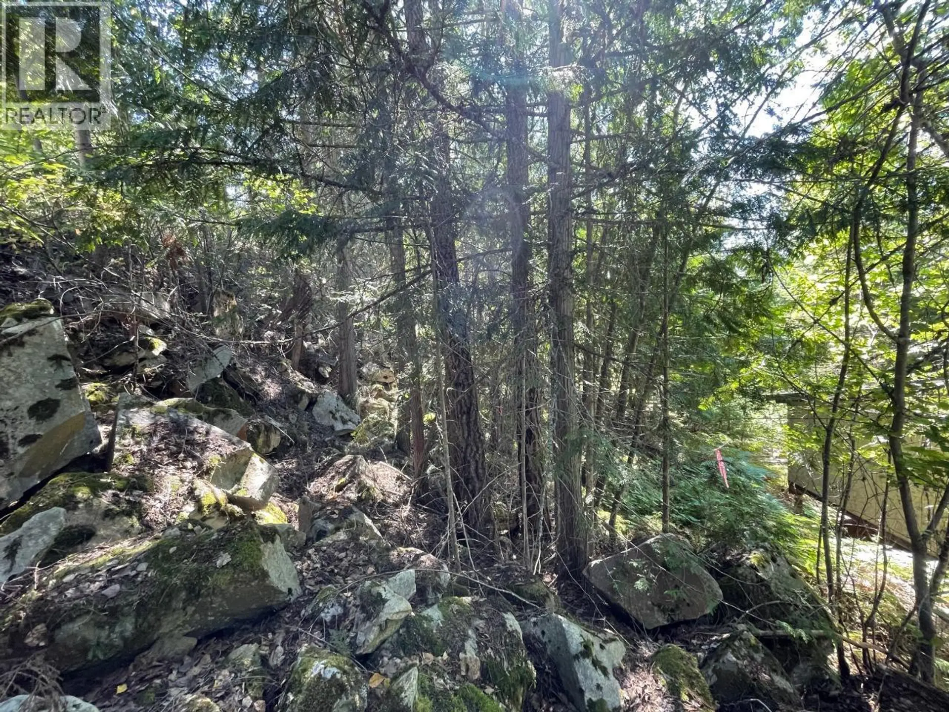 Property at 237 RAINBOW RIDGE ROAD, Procter, BC