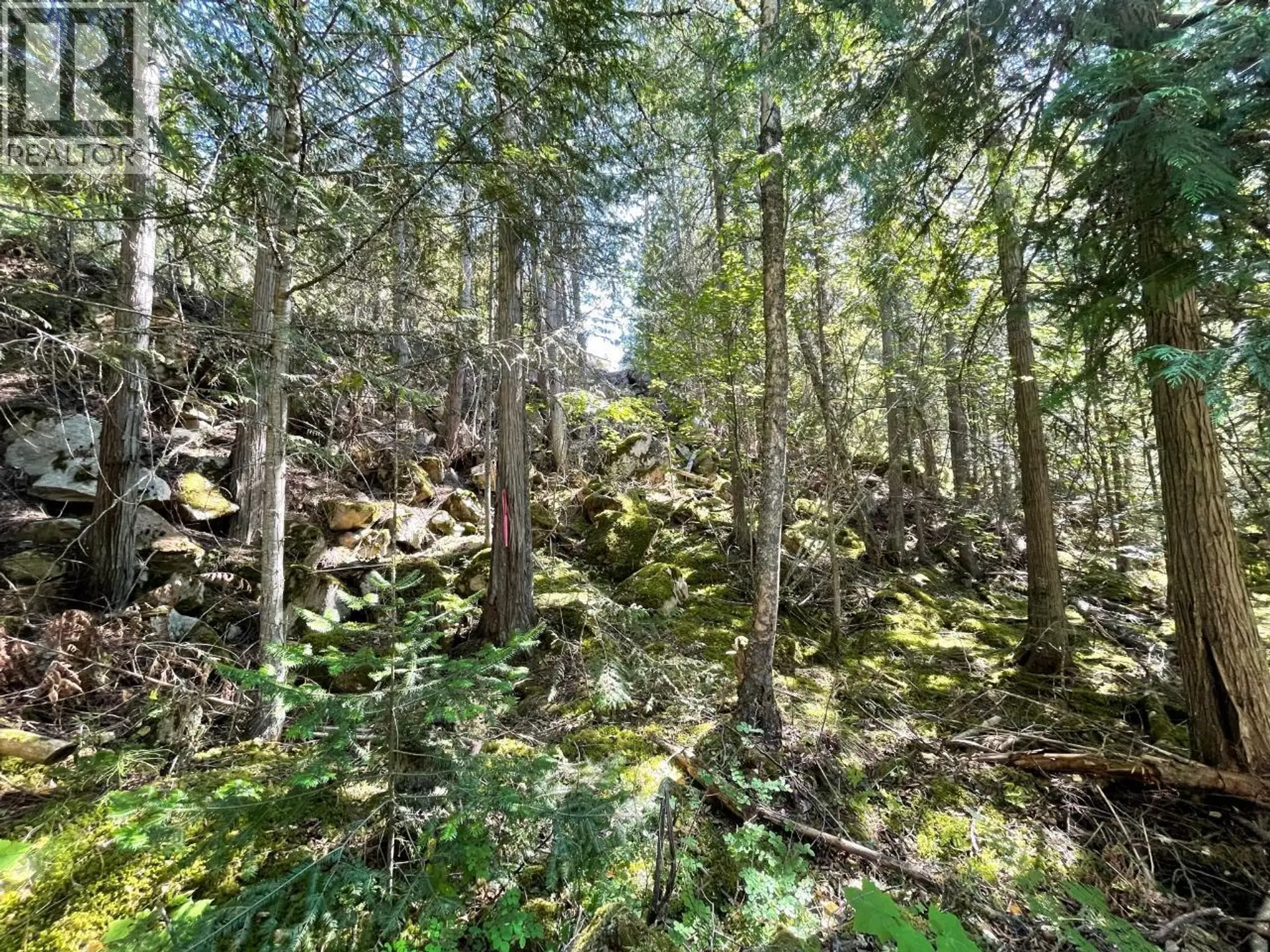Property at 237 RAINBOW RIDGE ROAD, Procter, BC
