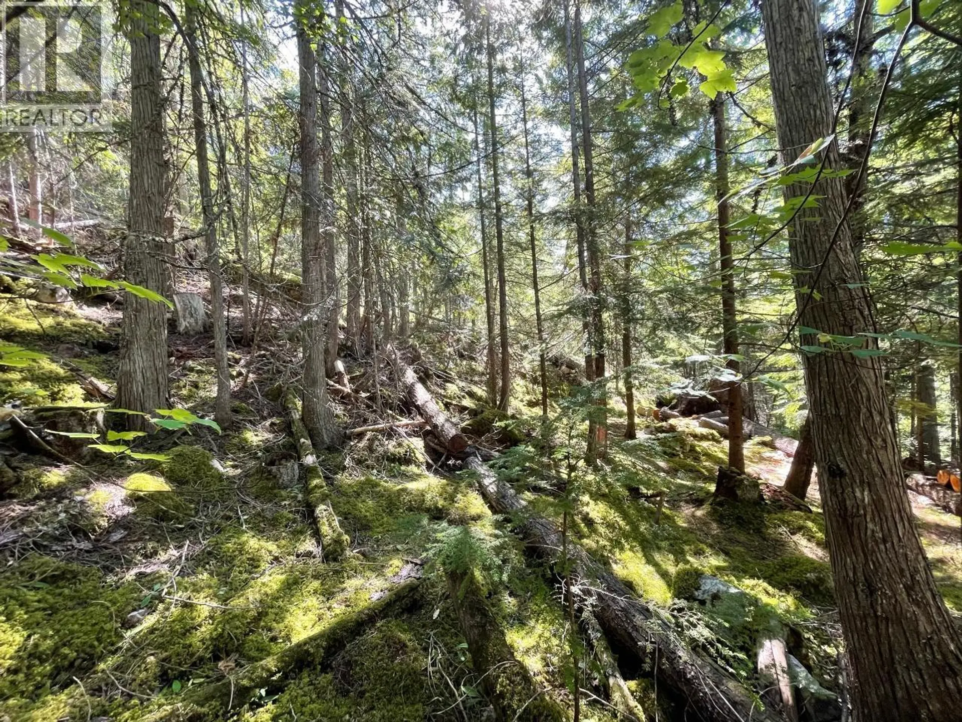 Property at 237 RAINBOW RIDGE ROAD, Procter, BC