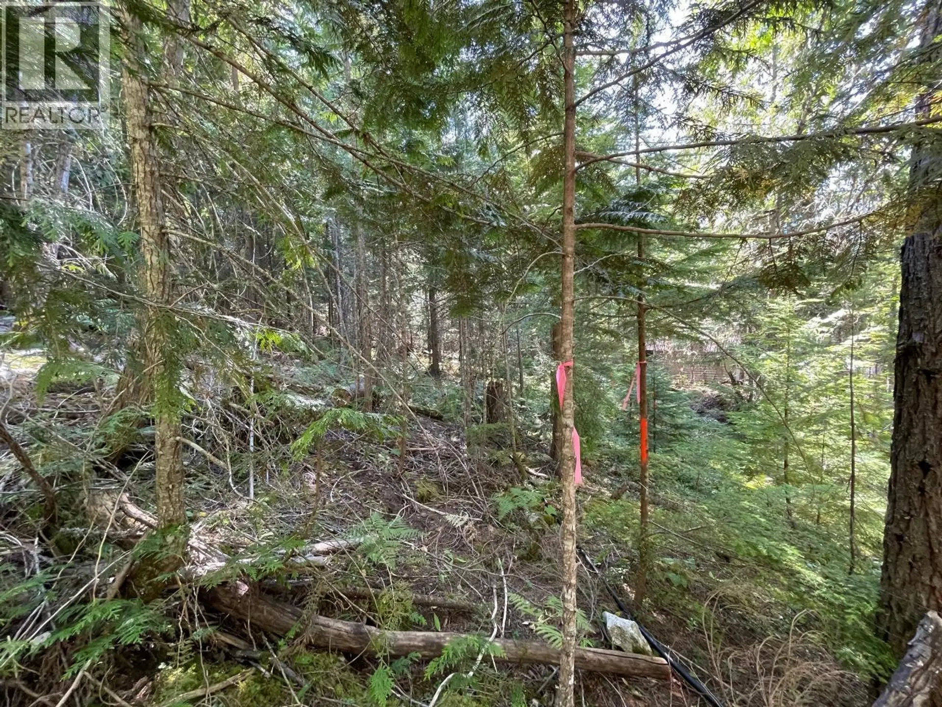 Property at 237 RAINBOW RIDGE ROAD, Procter, BC