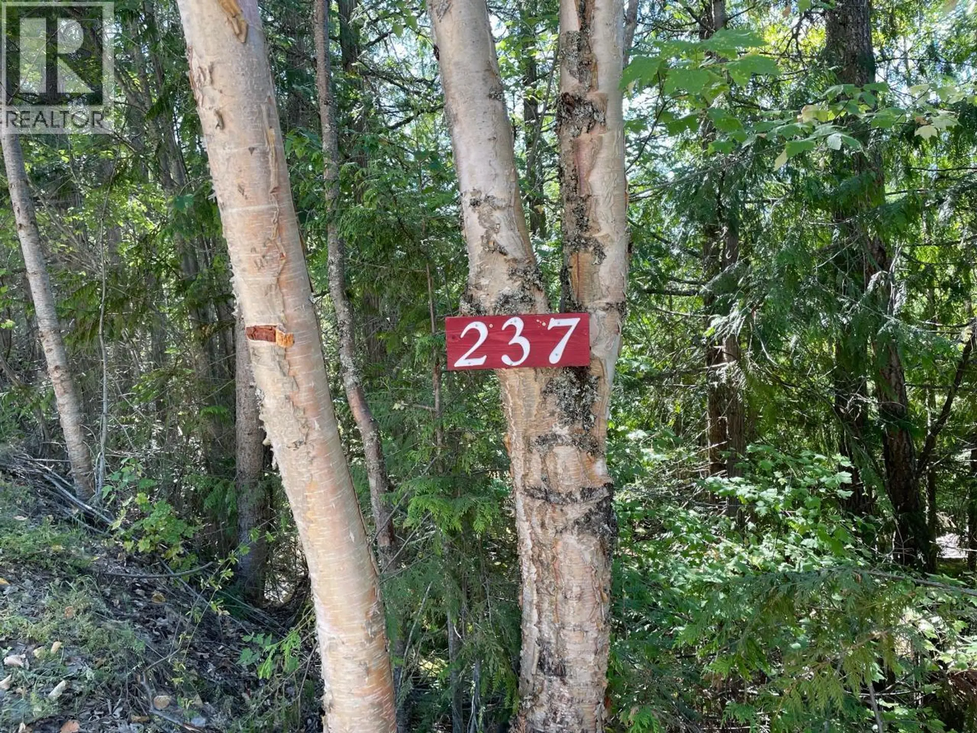 Property at 237 RAINBOW RIDGE ROAD, Procter, BC