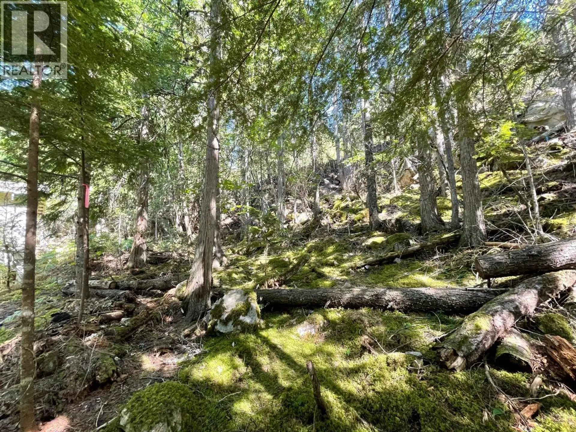 Property at 237 RAINBOW RIDGE ROAD, Procter, BC