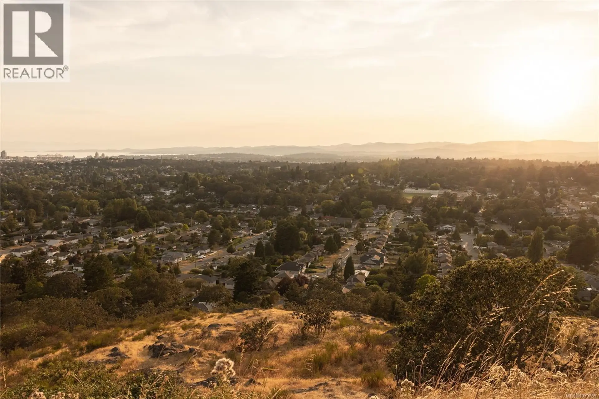 Property at #201 3226 SHELBOURNE ST, Saanich, BC