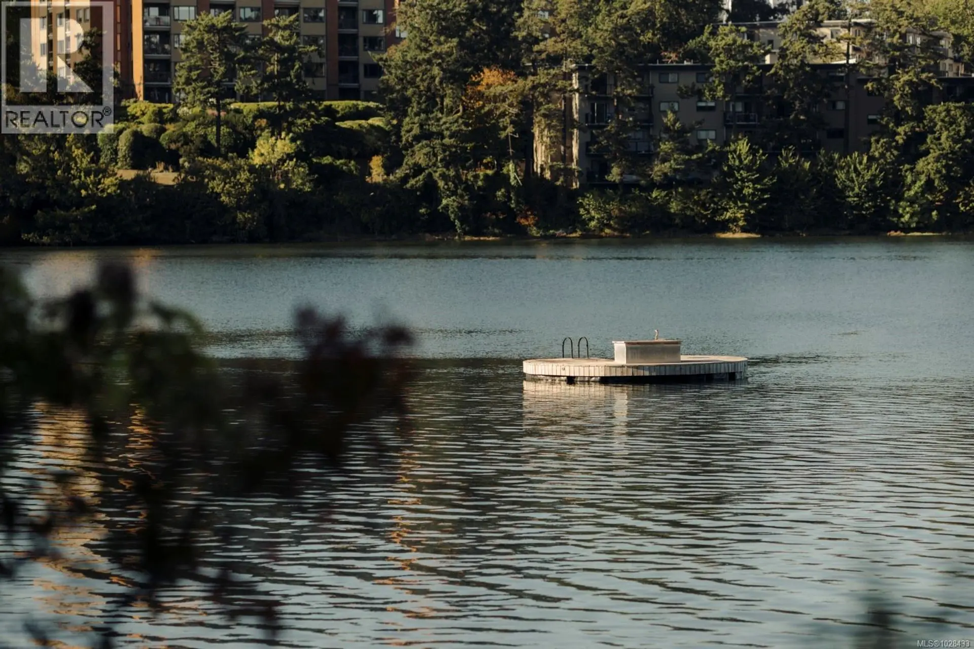 Property at 317 EDWARD ST, Victoria, BC