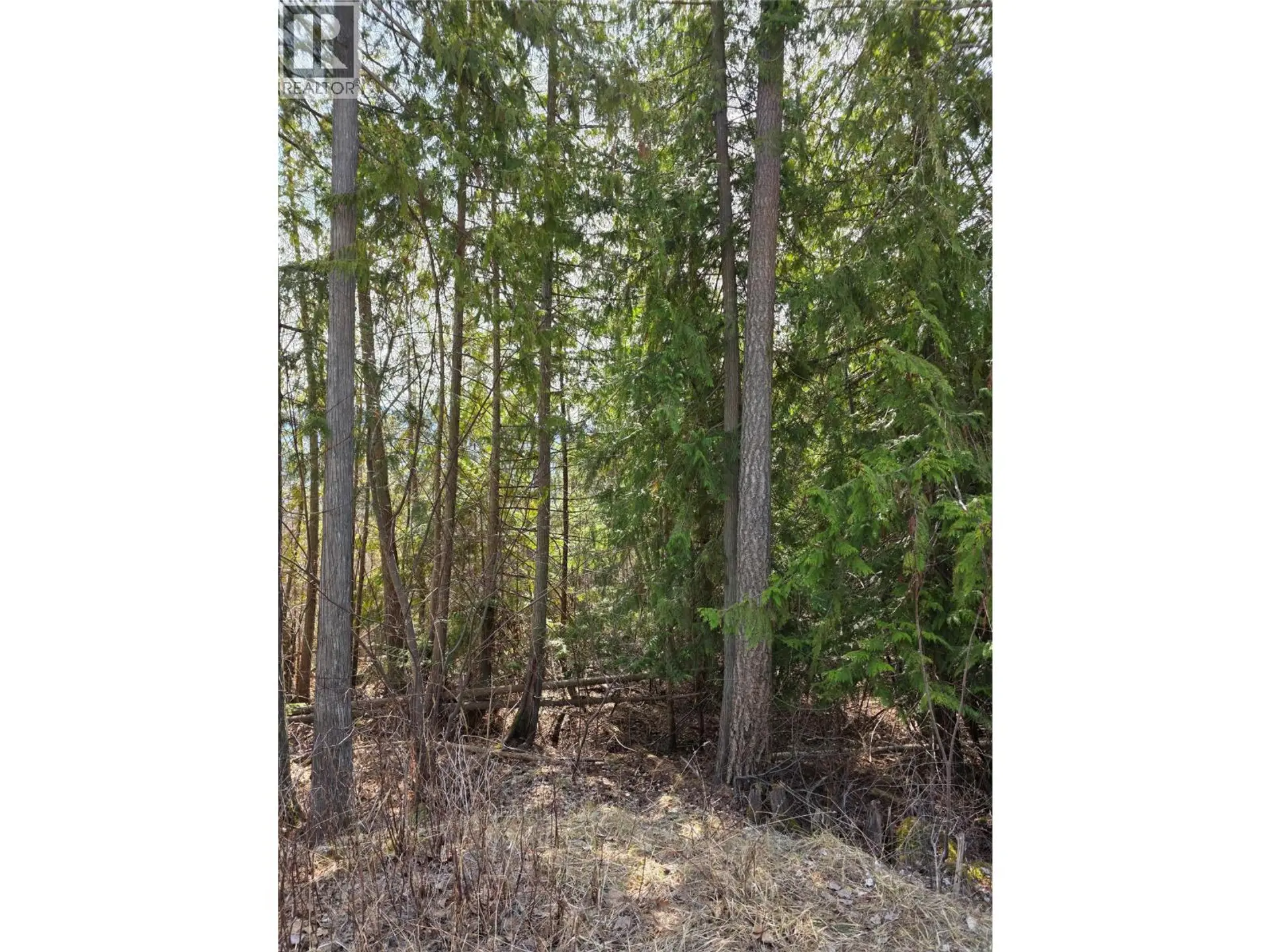 Property at 7502 ESTATE DRIVE, Anglemont, BC