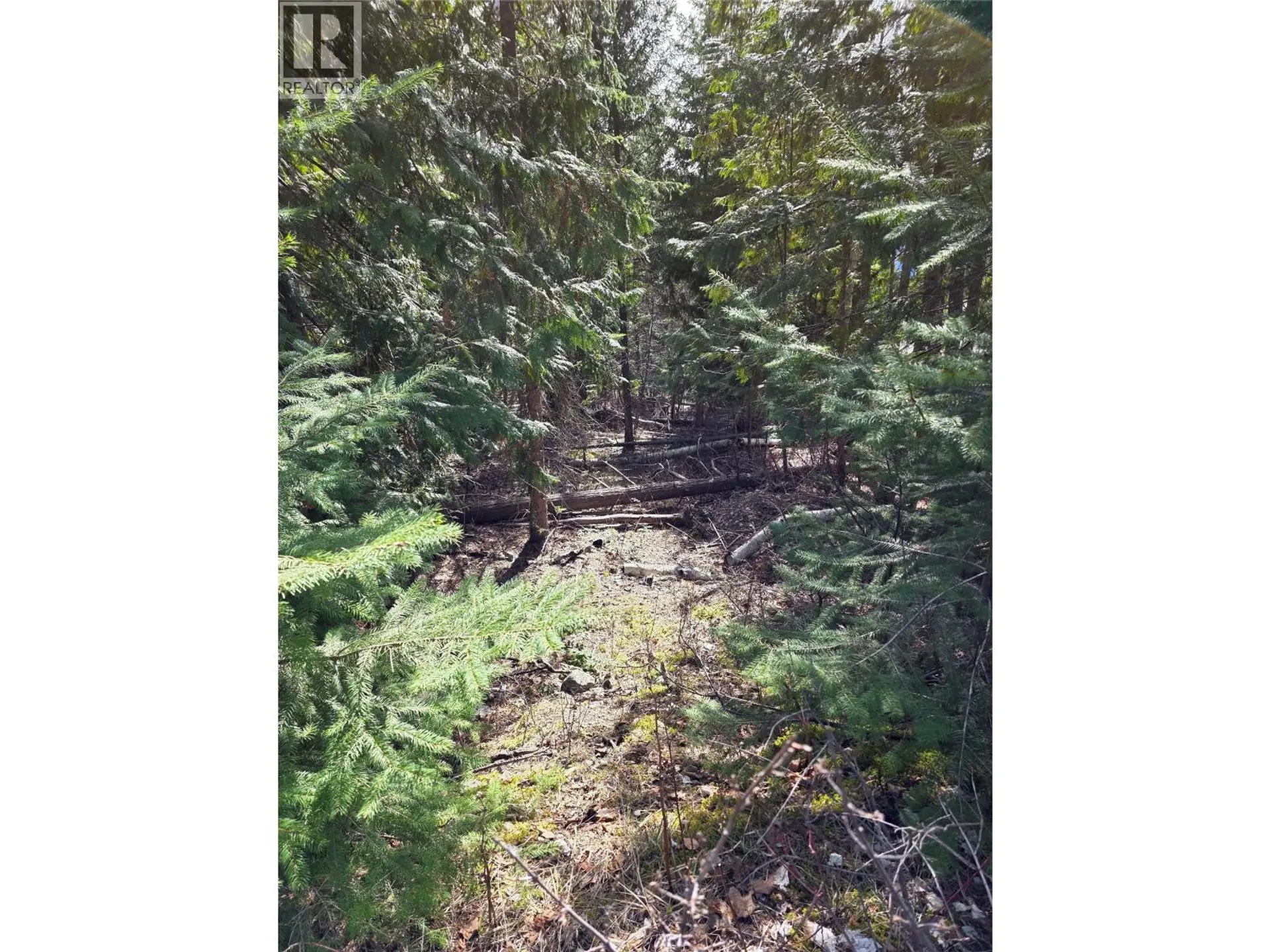 Property at 7502 ESTATE DRIVE, Anglemont, BC