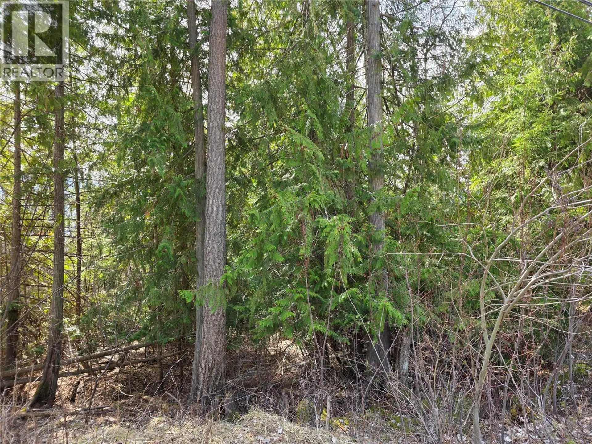 Property at 7502 ESTATE DRIVE, Anglemont, BC