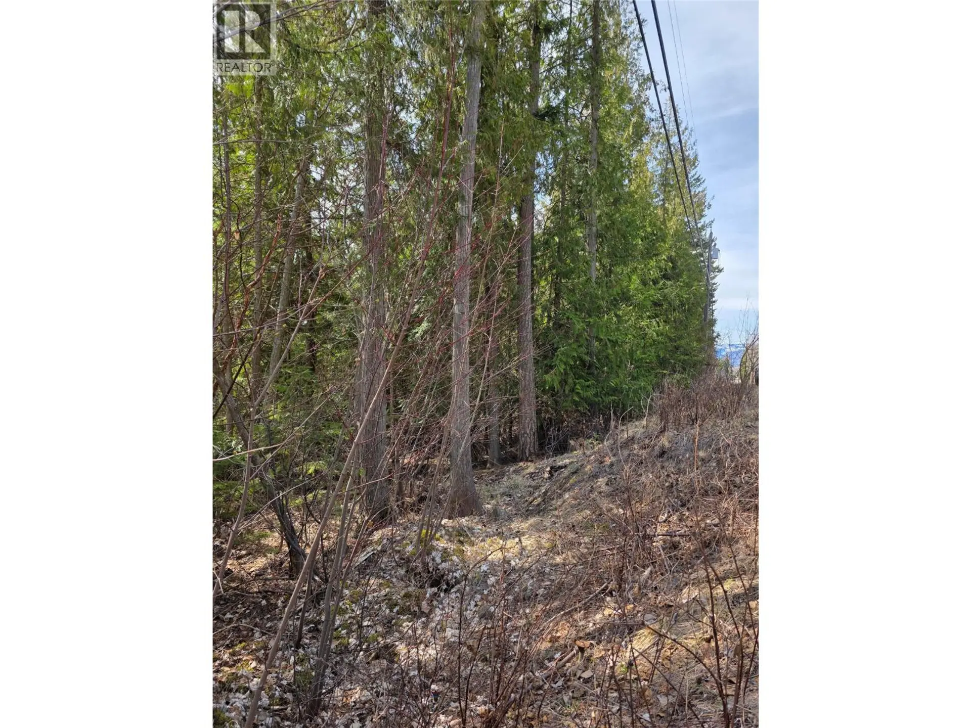 Property at 7502 ESTATE DRIVE, Anglemont, BC