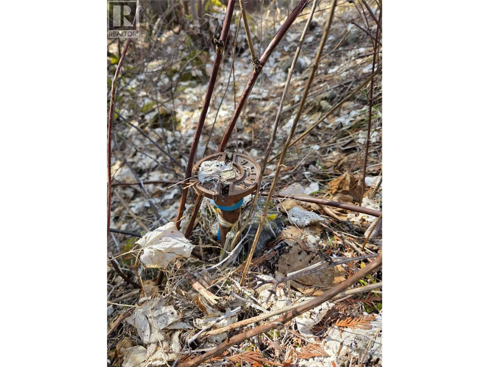 Property at 7502 ESTATE DRIVE, Anglemont, BC