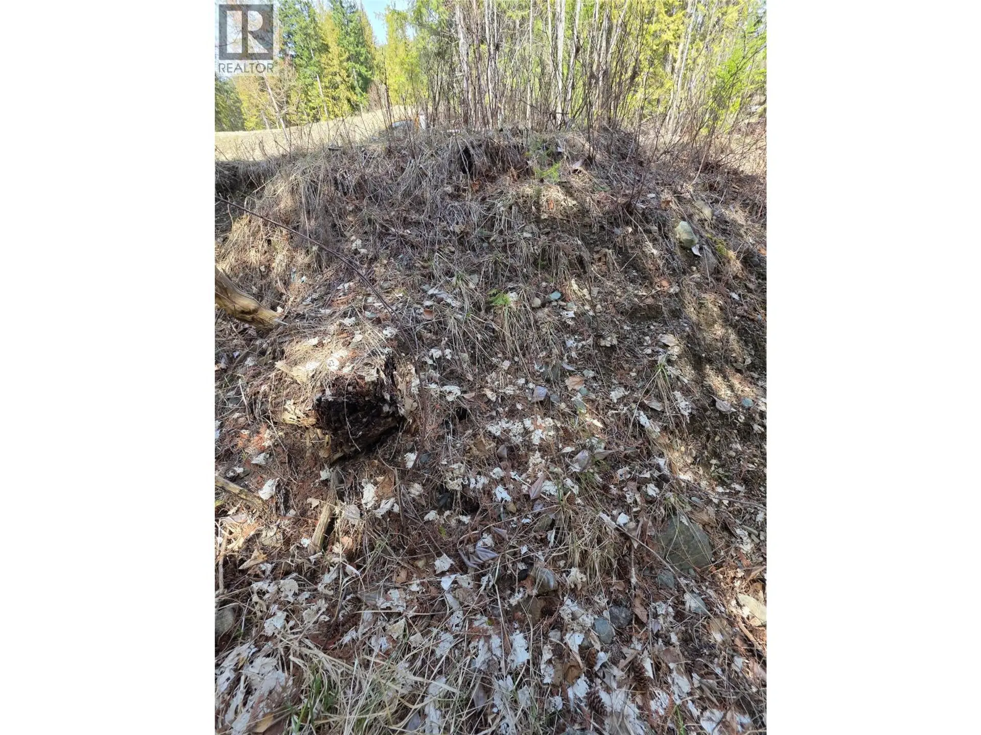 Property at 7502 ESTATE DRIVE, Anglemont, BC