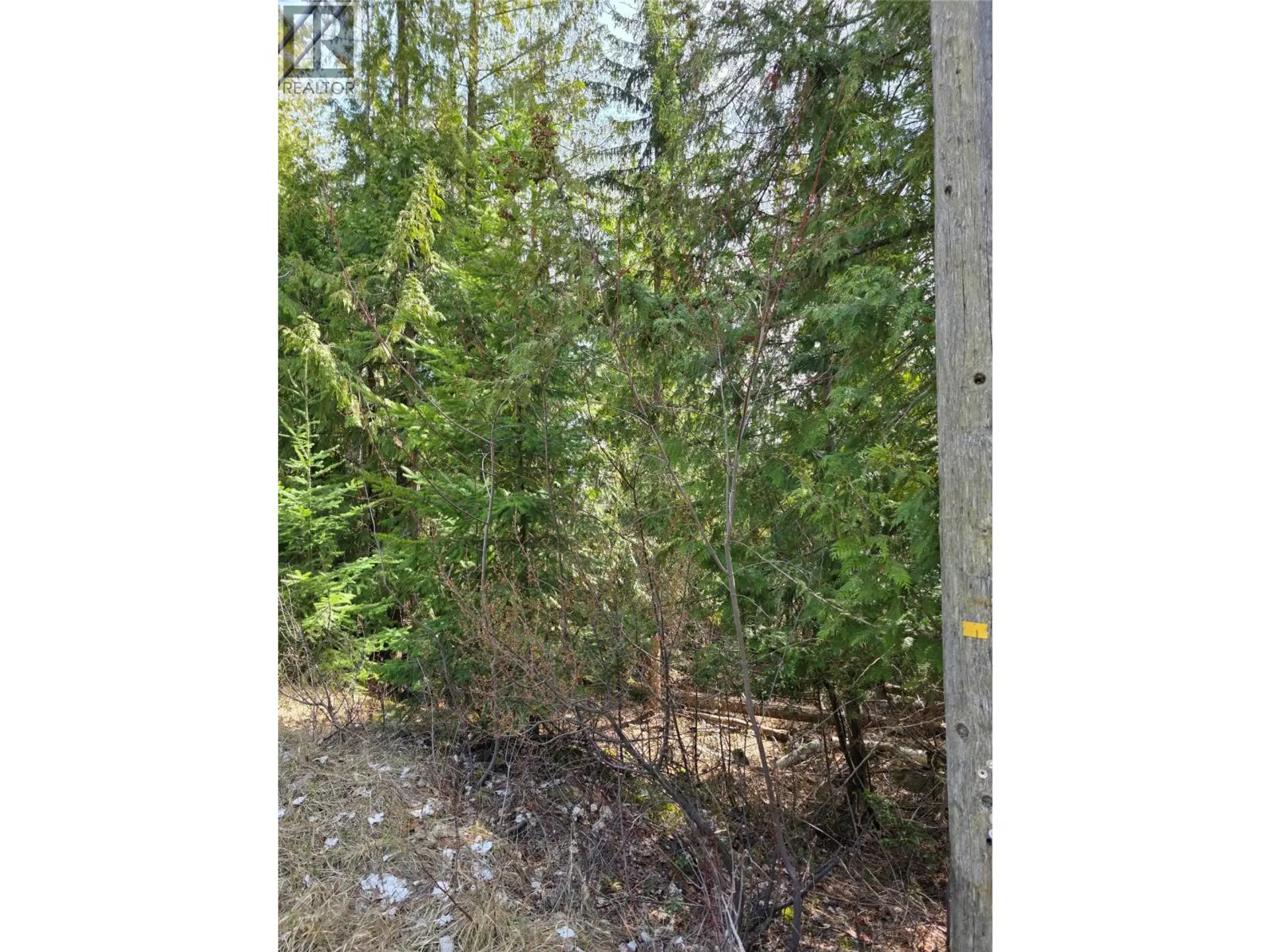 Property at 7502 ESTATE DRIVE, Anglemont, BC