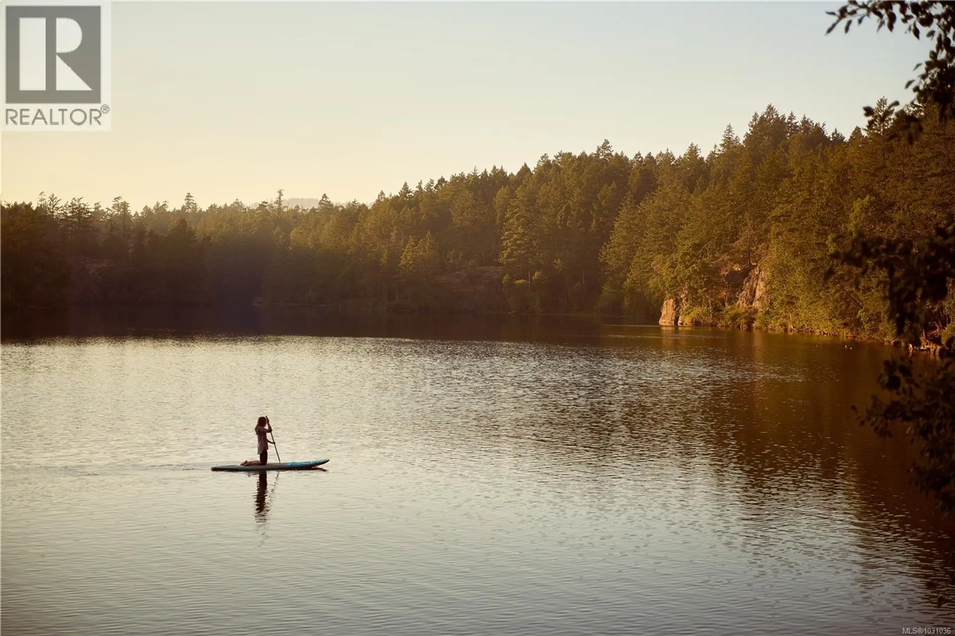 Property at #311 1075 TILLICUM RD, Esquimalt, BC