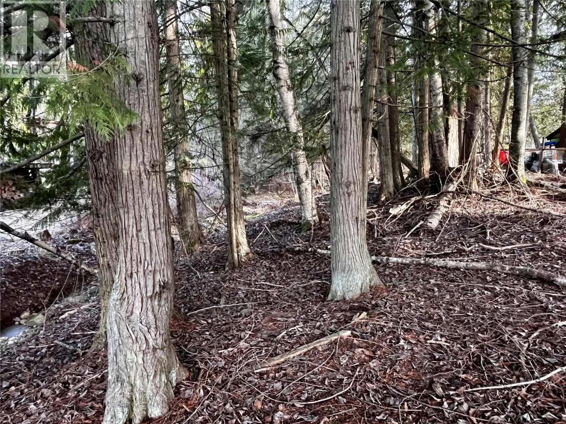 Property at 262 GLENACRES ROAD, Nakusp, BC