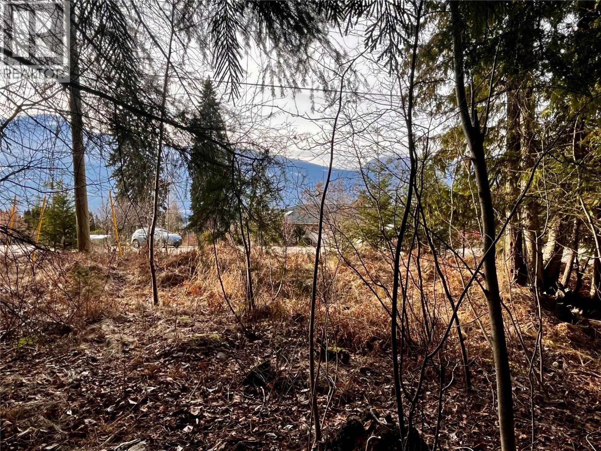 Property at 262 GLENACRES ROAD, Nakusp, BC