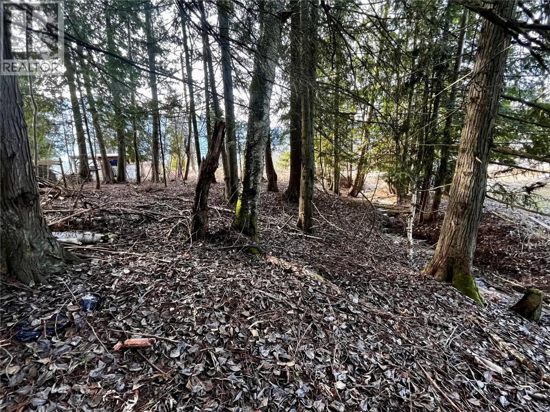 Property at 262 GLENACRES ROAD, Nakusp, BC