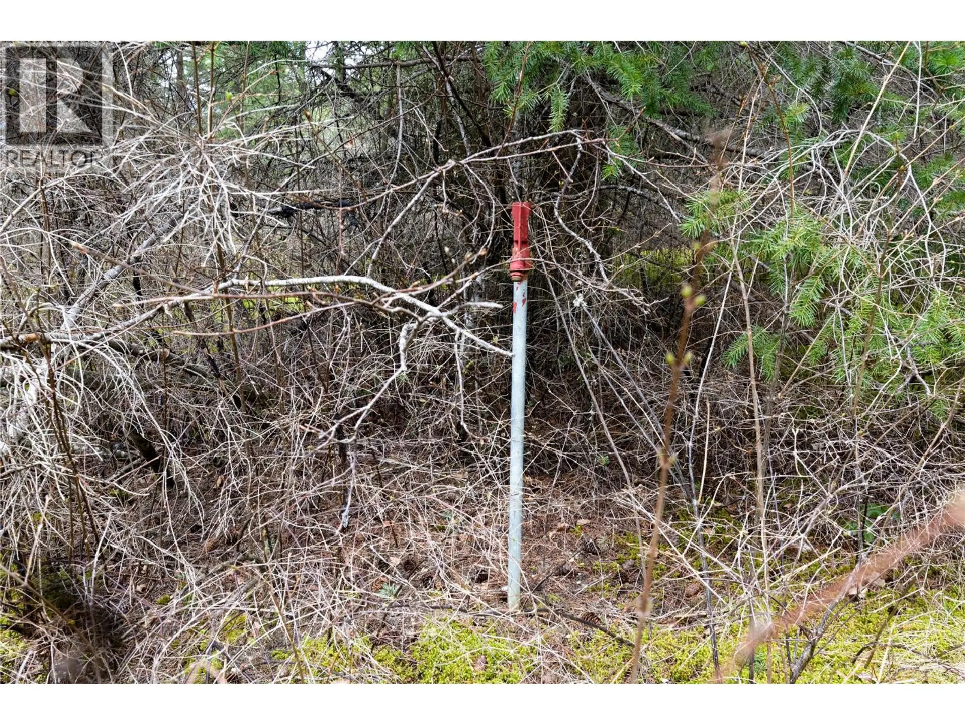 Property at 5560 LAKESHORE ROAD NE, Salmon Arm, BC