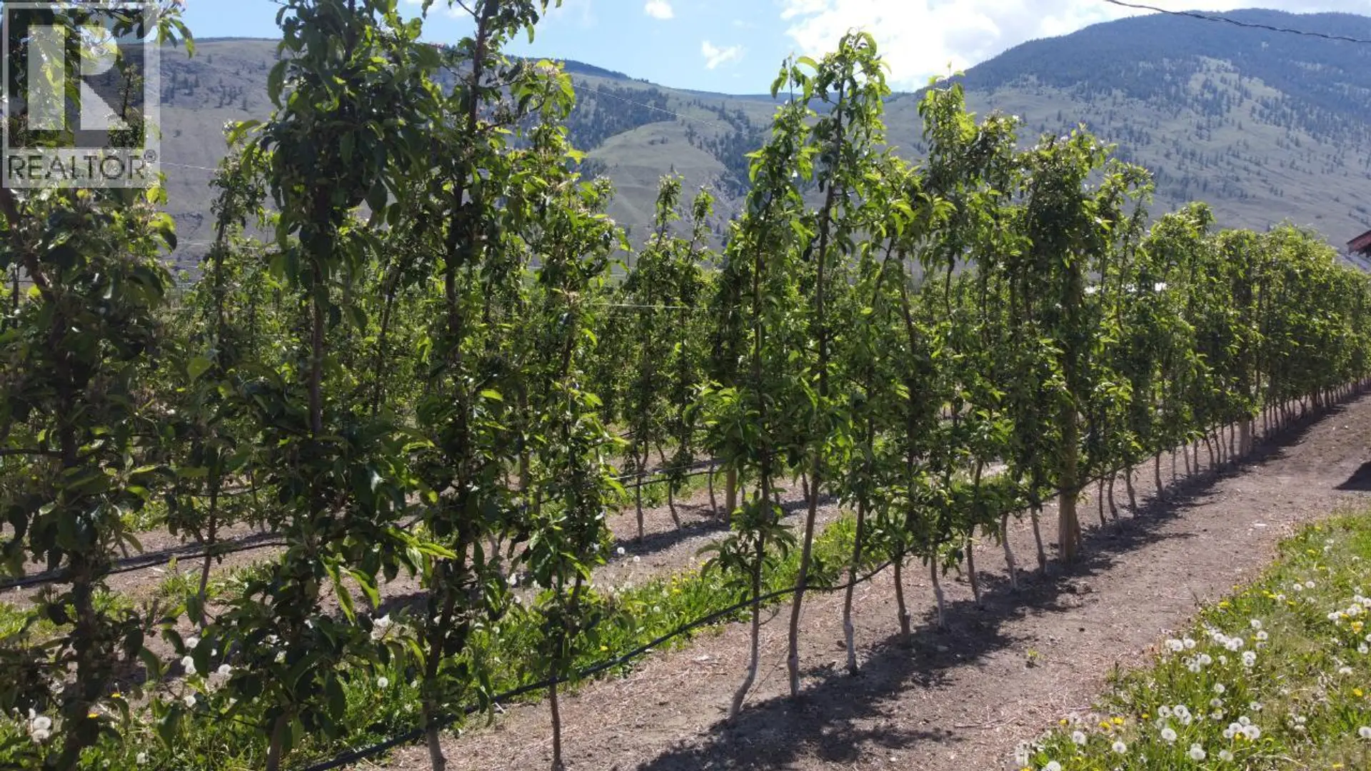 Property at 696 LOWE DRIVE, Cawston, BC