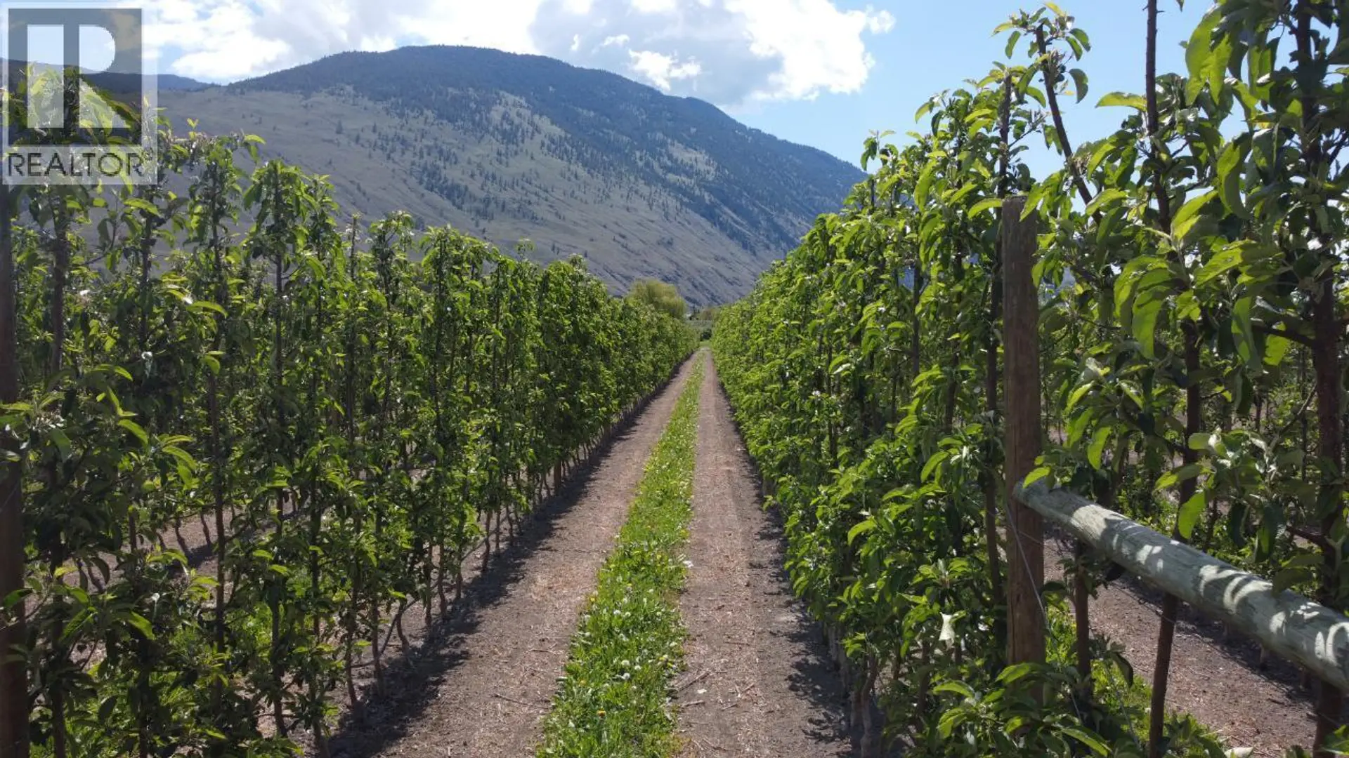 Property at 696 LOWE DRIVE, Cawston, BC