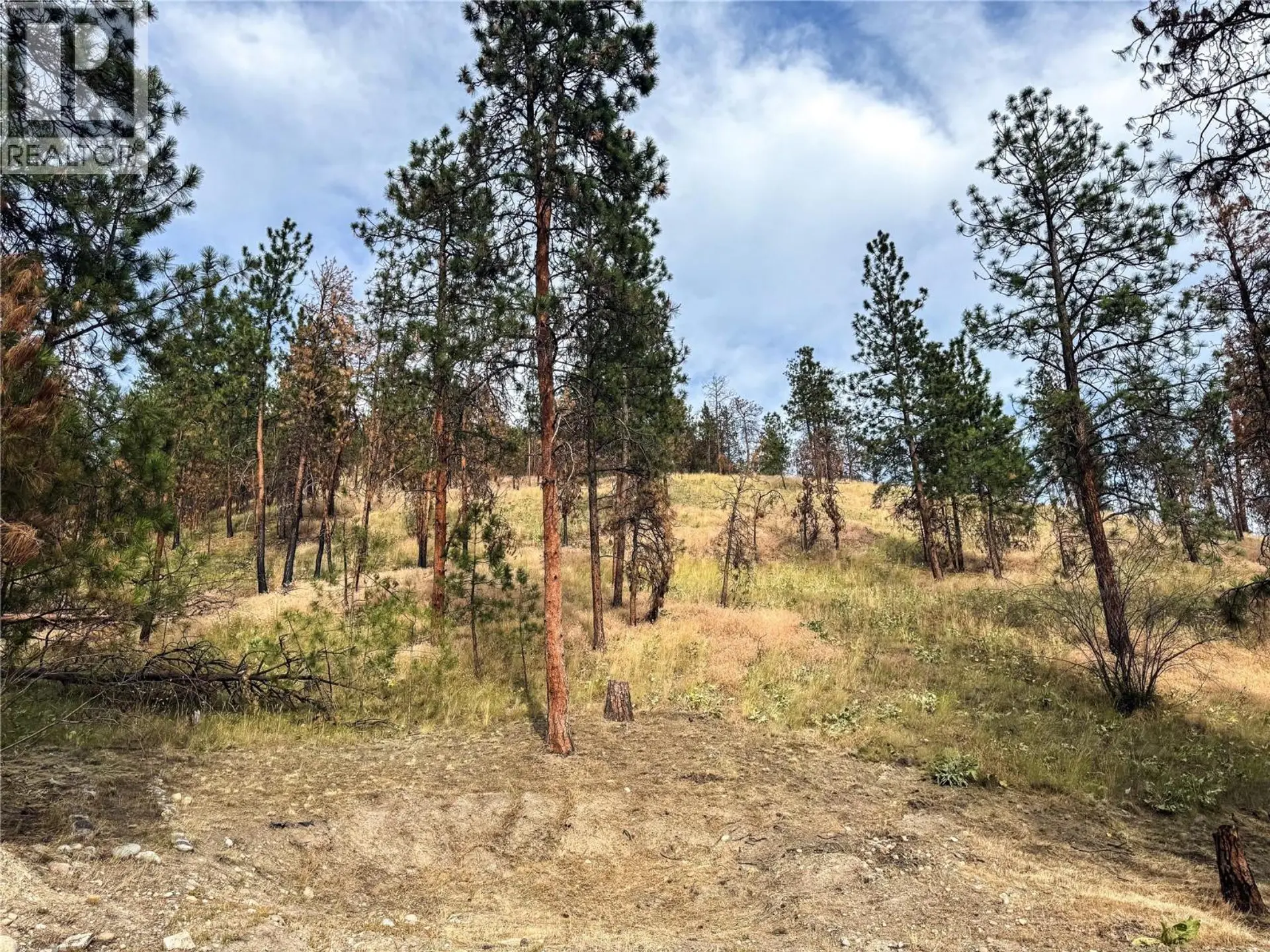 Property at 9775/9819 OKANAGAN CENTRE ROAD W, Lake Country, BC