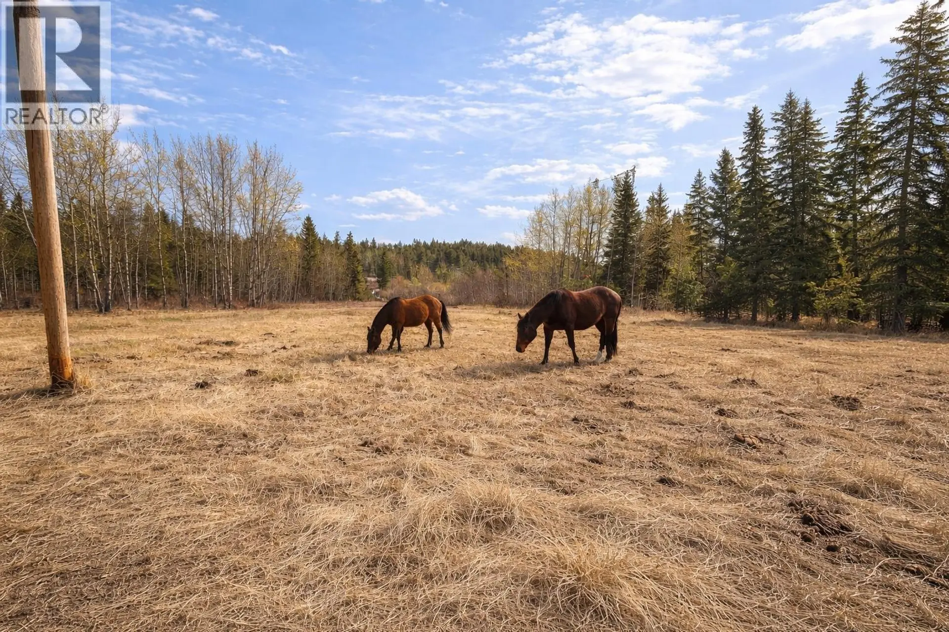 Property at 4109 CLEAR ROAD, Williams Lake, BC