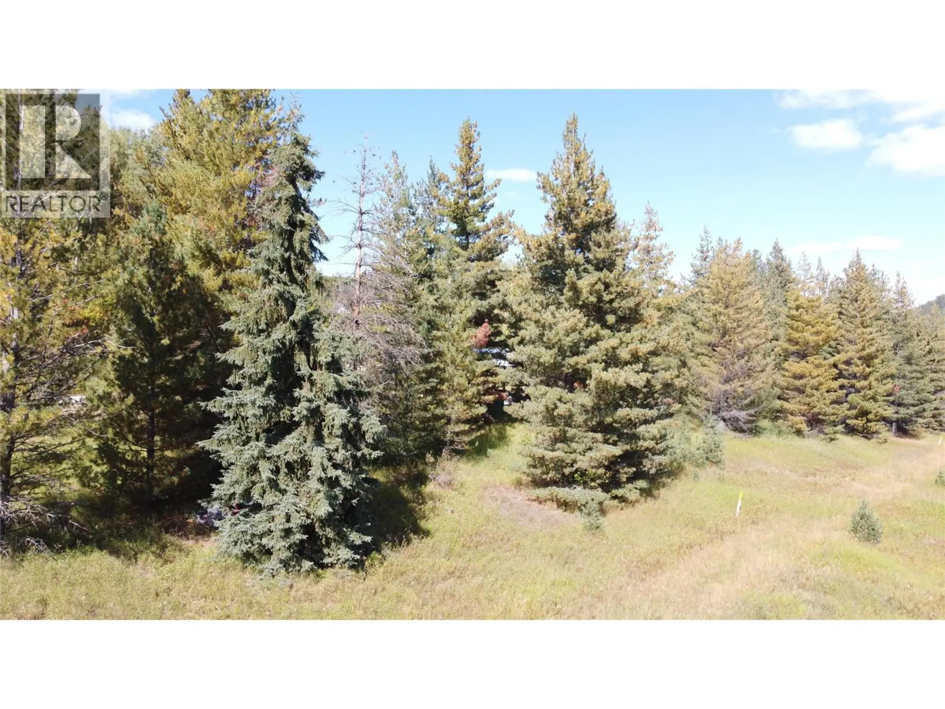 Property at 270 RICHIE ROAD, Rossland, BC