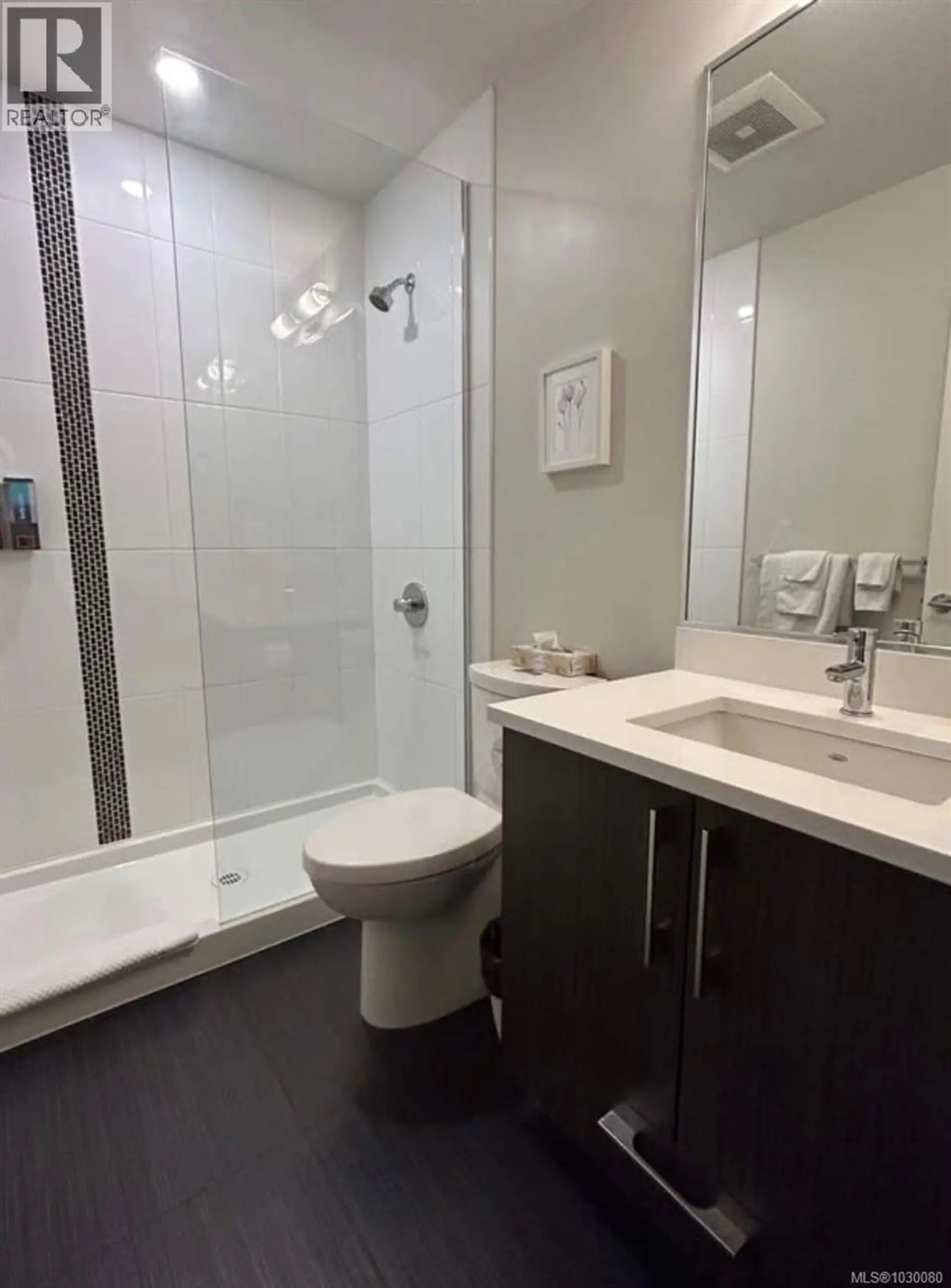 Property at #301 613 HERALD ST, Victoria, BC