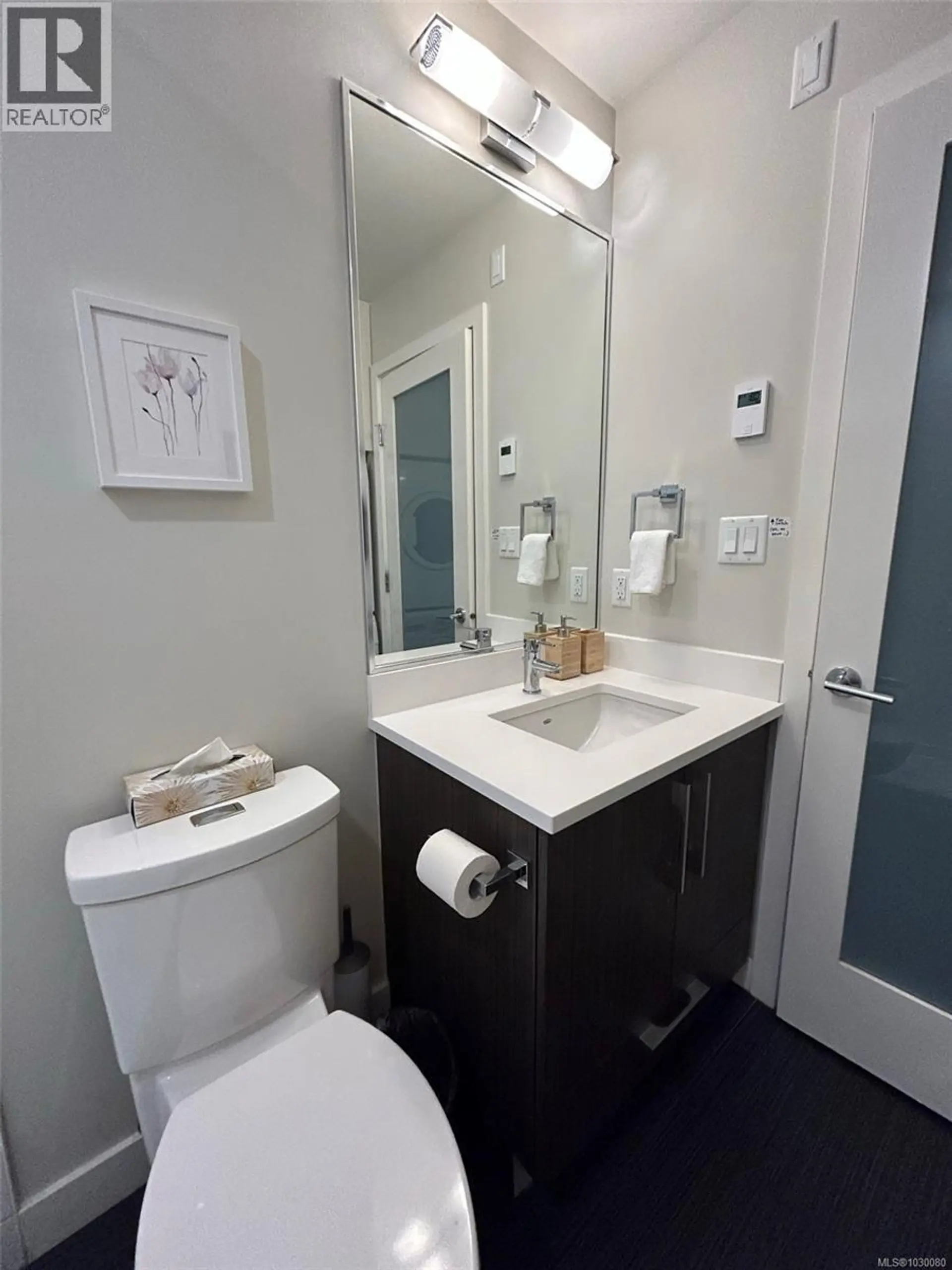 Property at #301 613 HERALD ST, Victoria, BC