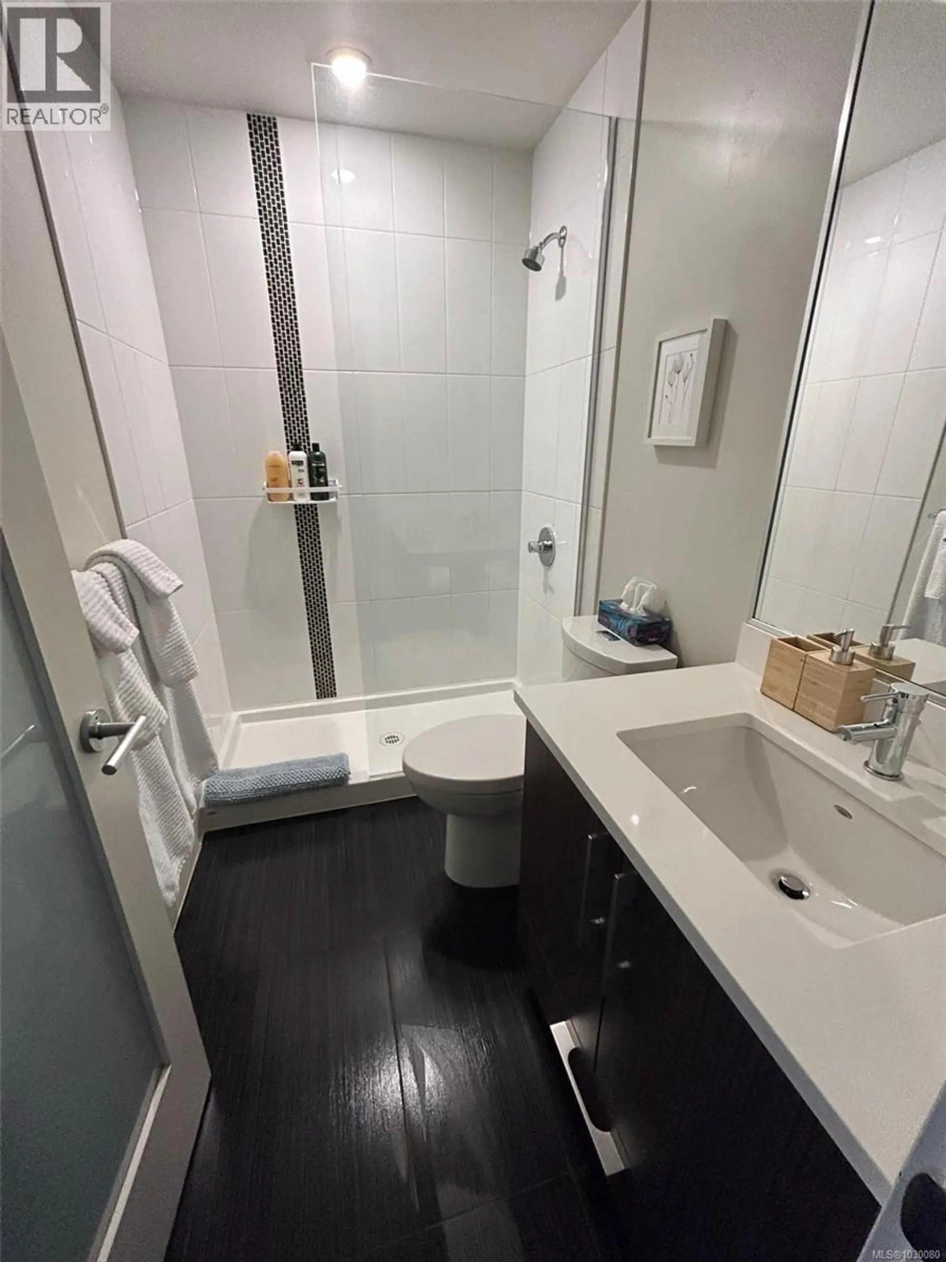 Property at #301 613 HERALD ST, Victoria, BC