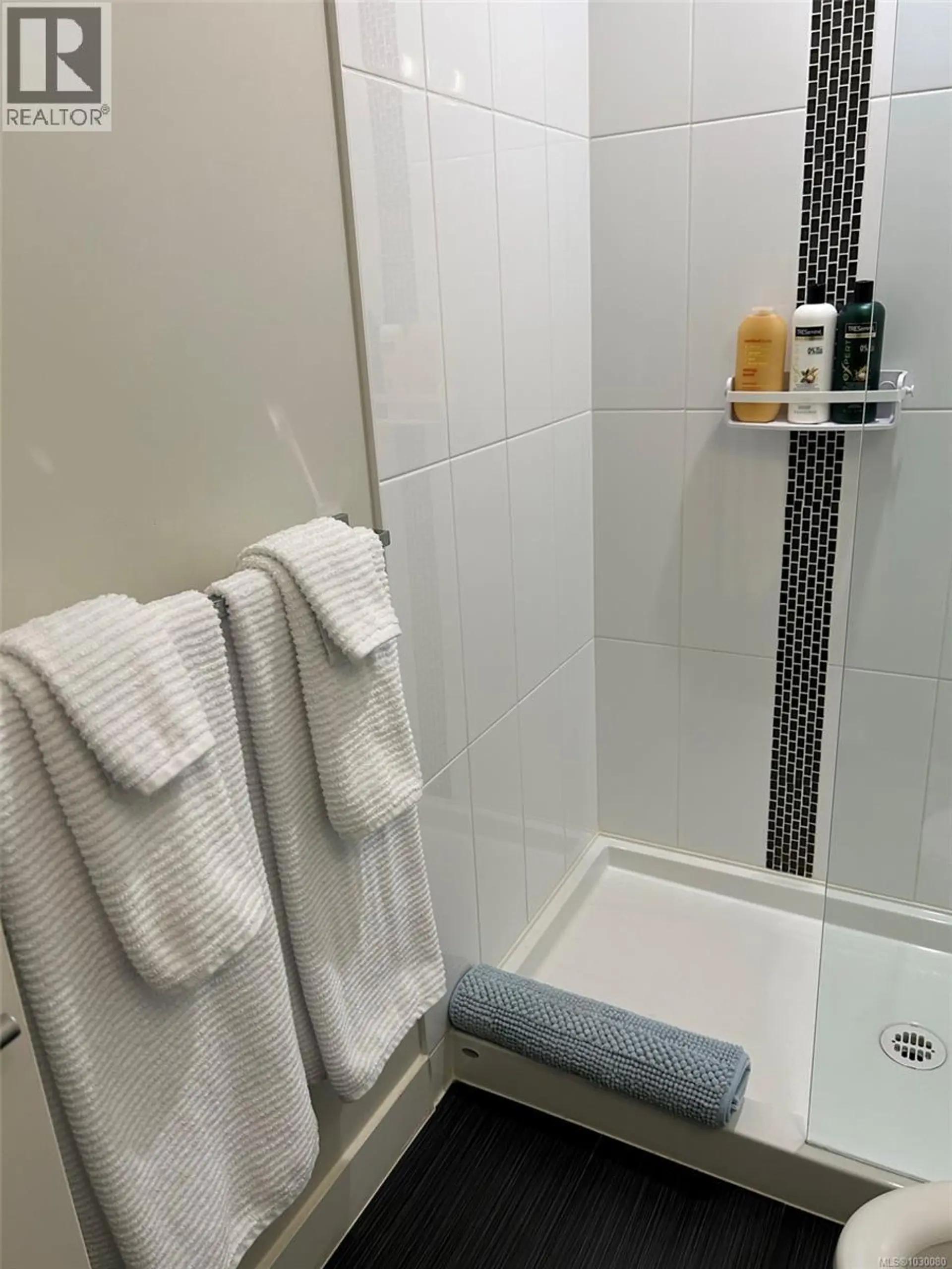 Property at #301 613 HERALD ST, Victoria, BC