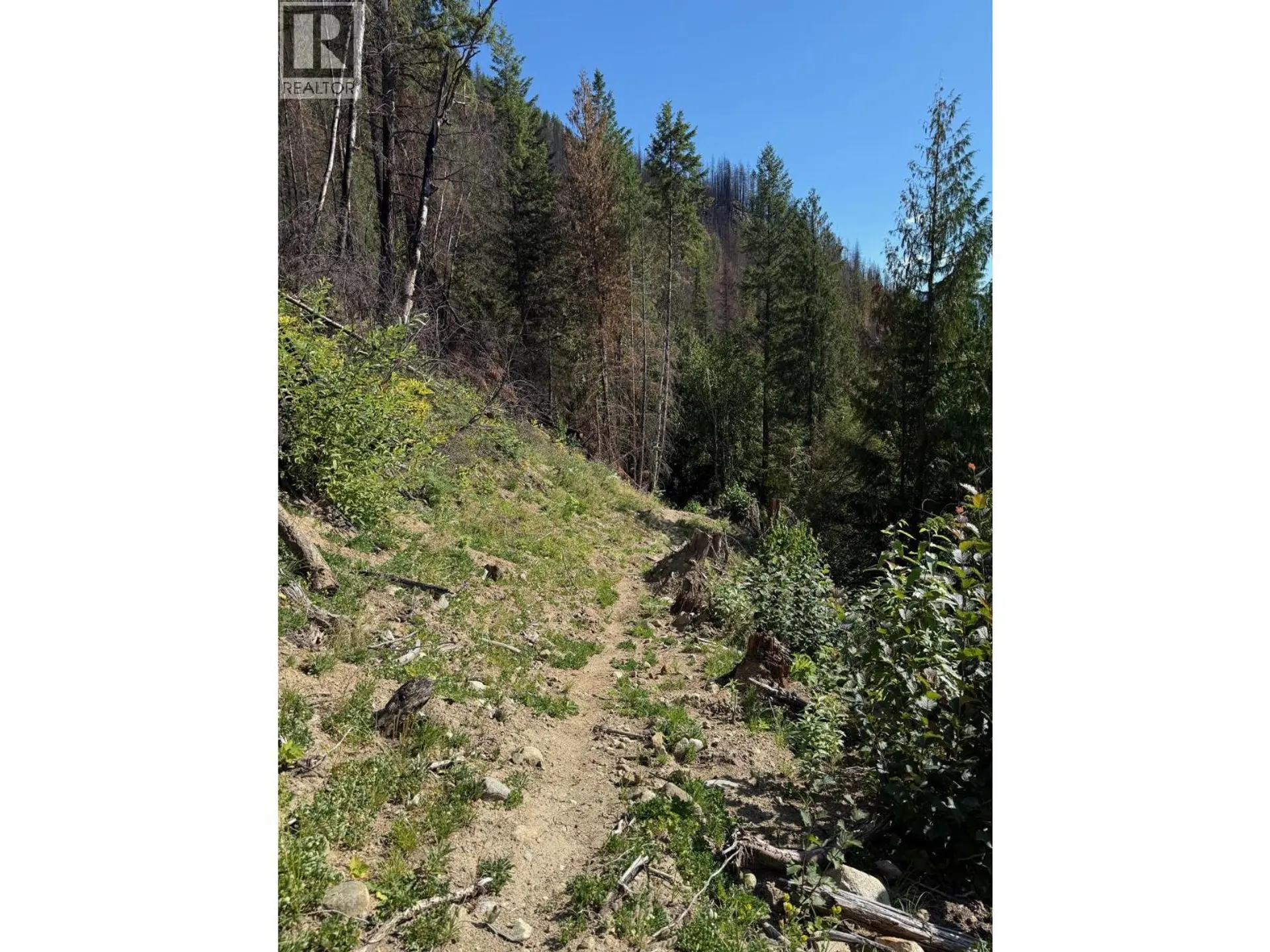 Property at LOT 2 MARTENS ROAD, Slocan, BC