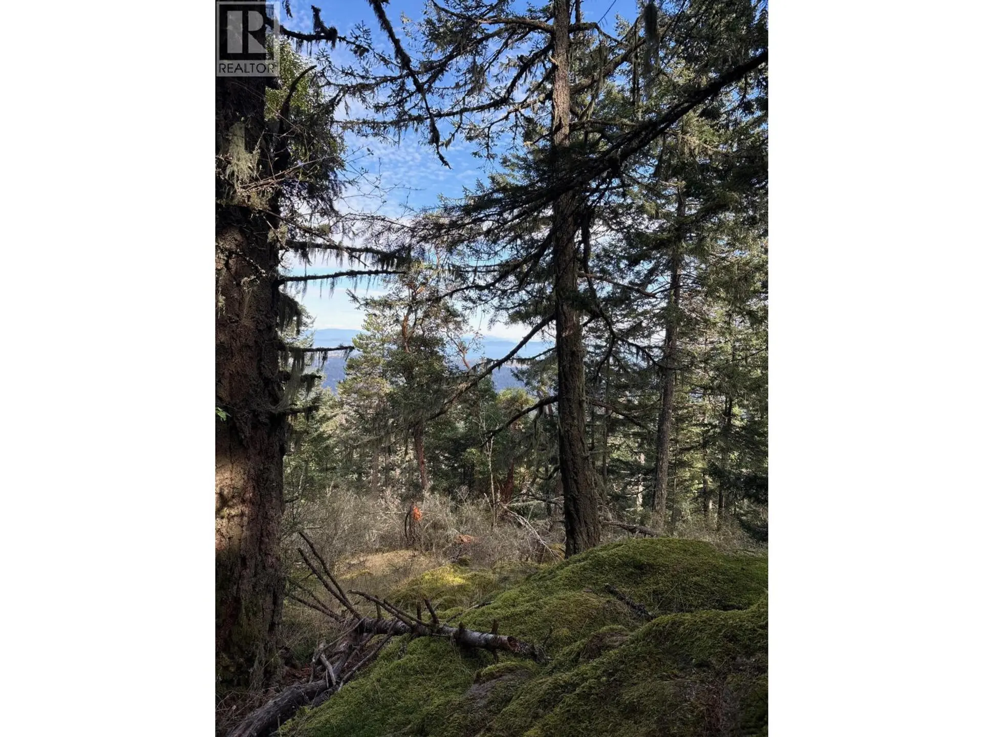 Property at LOT 2 MARTENS ROAD, Slocan, BC