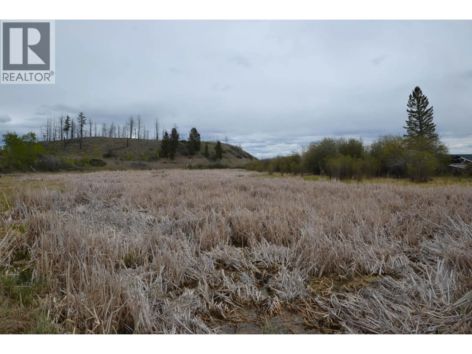 Property at 4008 PUNTZI LAKE ROAD, Williams Lake, BC