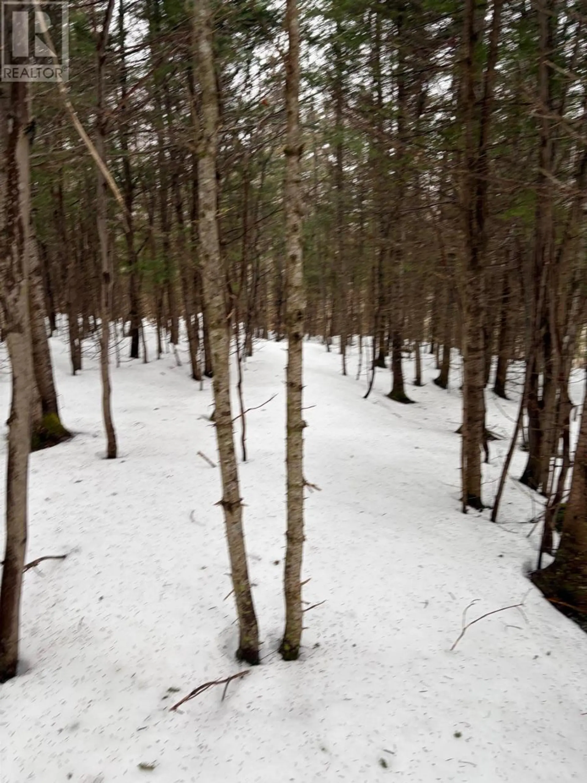 Property at 594 WHYCOCOMAGH MOUNTAIN RD, Whycocomagh, NS