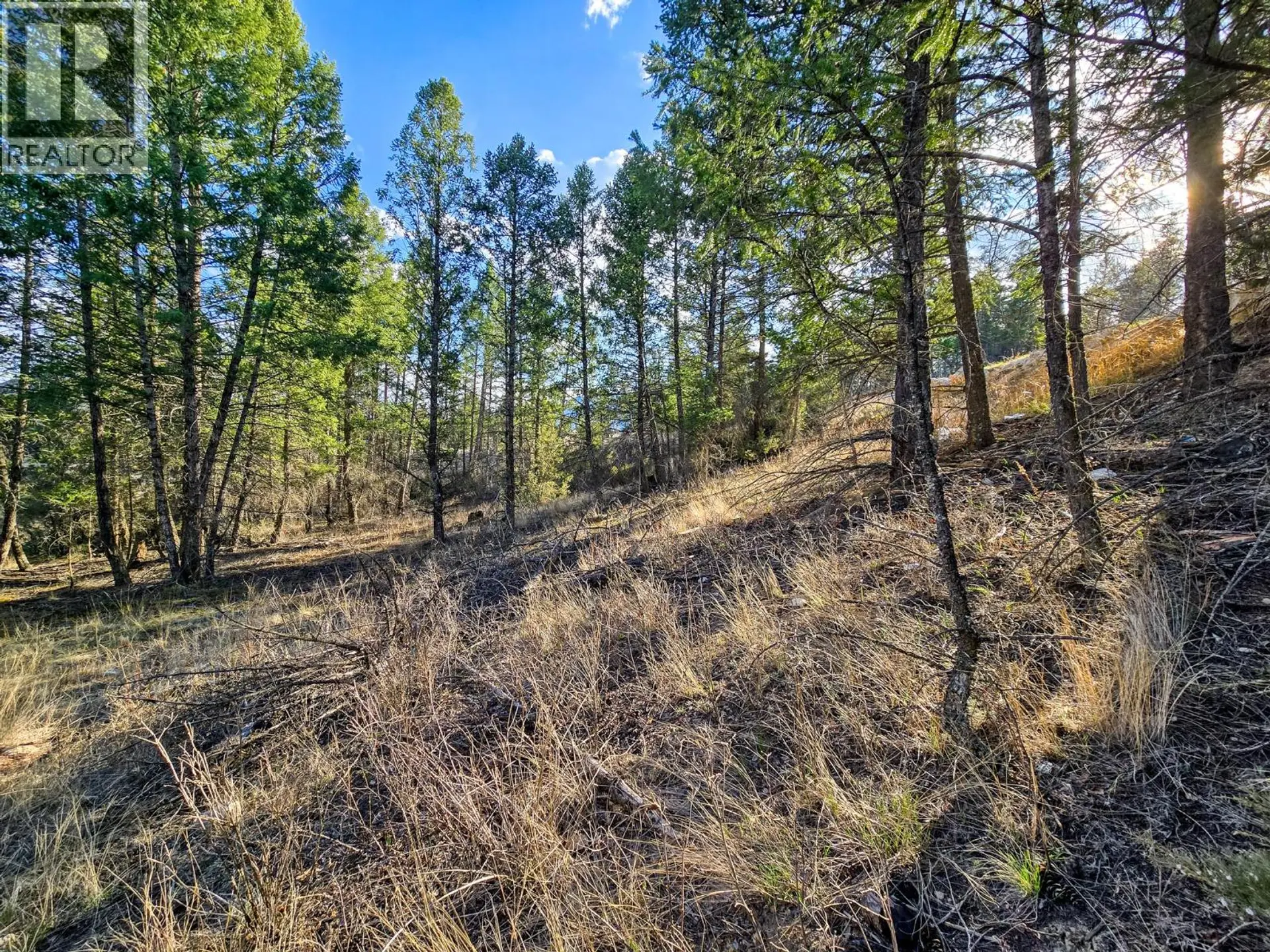 Property at LOT 17 COPPER POINT WAY, Windermere, BC